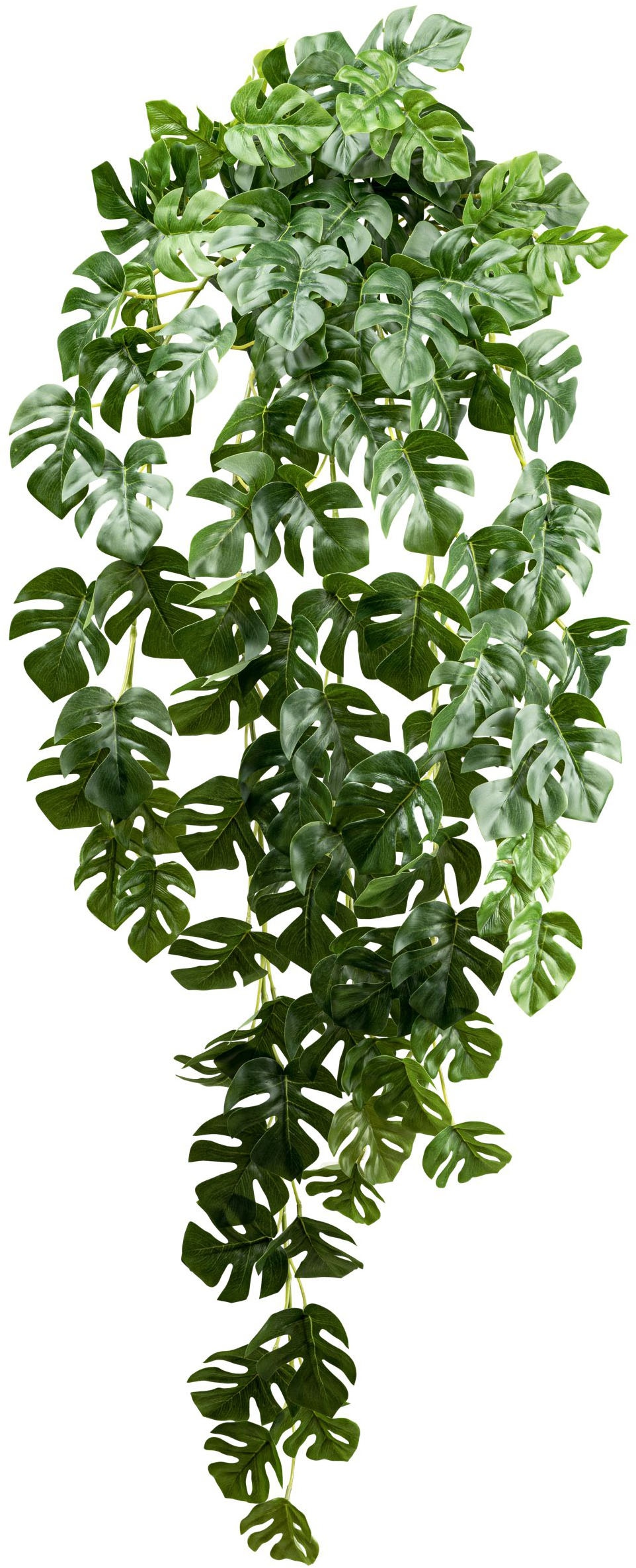 Creativ green Künstliche Zimmerpflanze "Splitphilodendron-Hängepflanze", mi günstig online kaufen