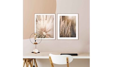 Wandbild »Natur Botanisch - Pampas - Löwenzahn - Nahaufnahme«, (2 St.)