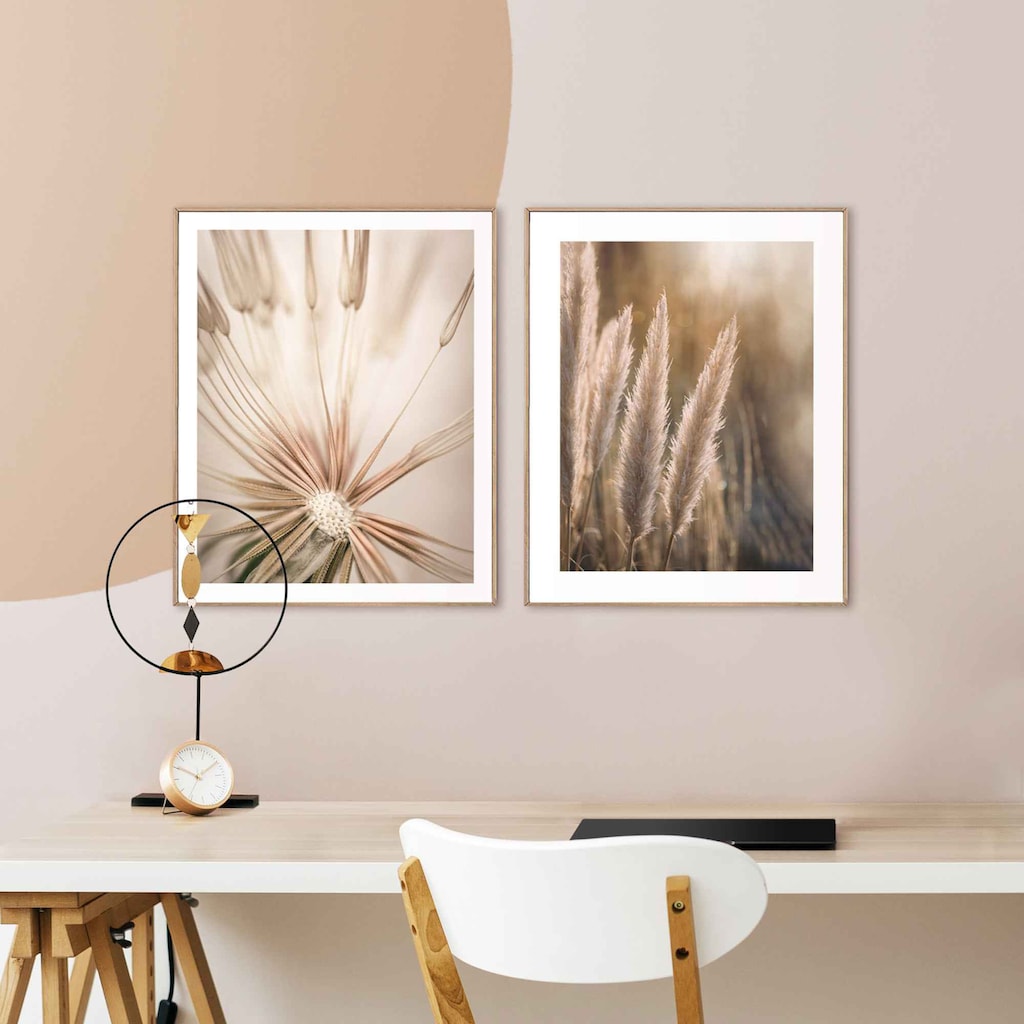 Reinders! Wandbild »Natur Botanisch - Pampas - Löwenzahn - Nahaufnahme«, (2 St.)