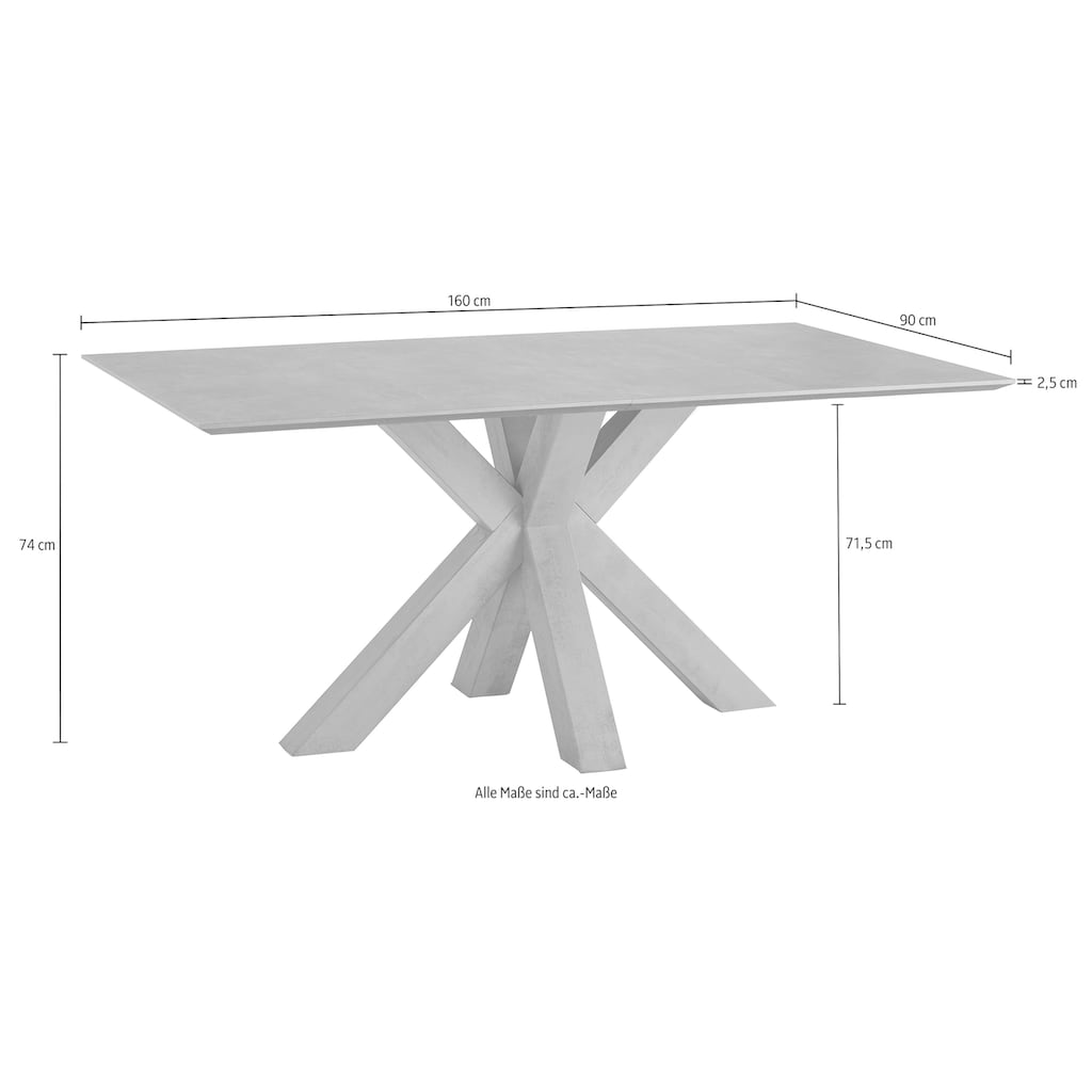 Wohnen Tische Mäusbacher Esstisch, Breite 160 cm 