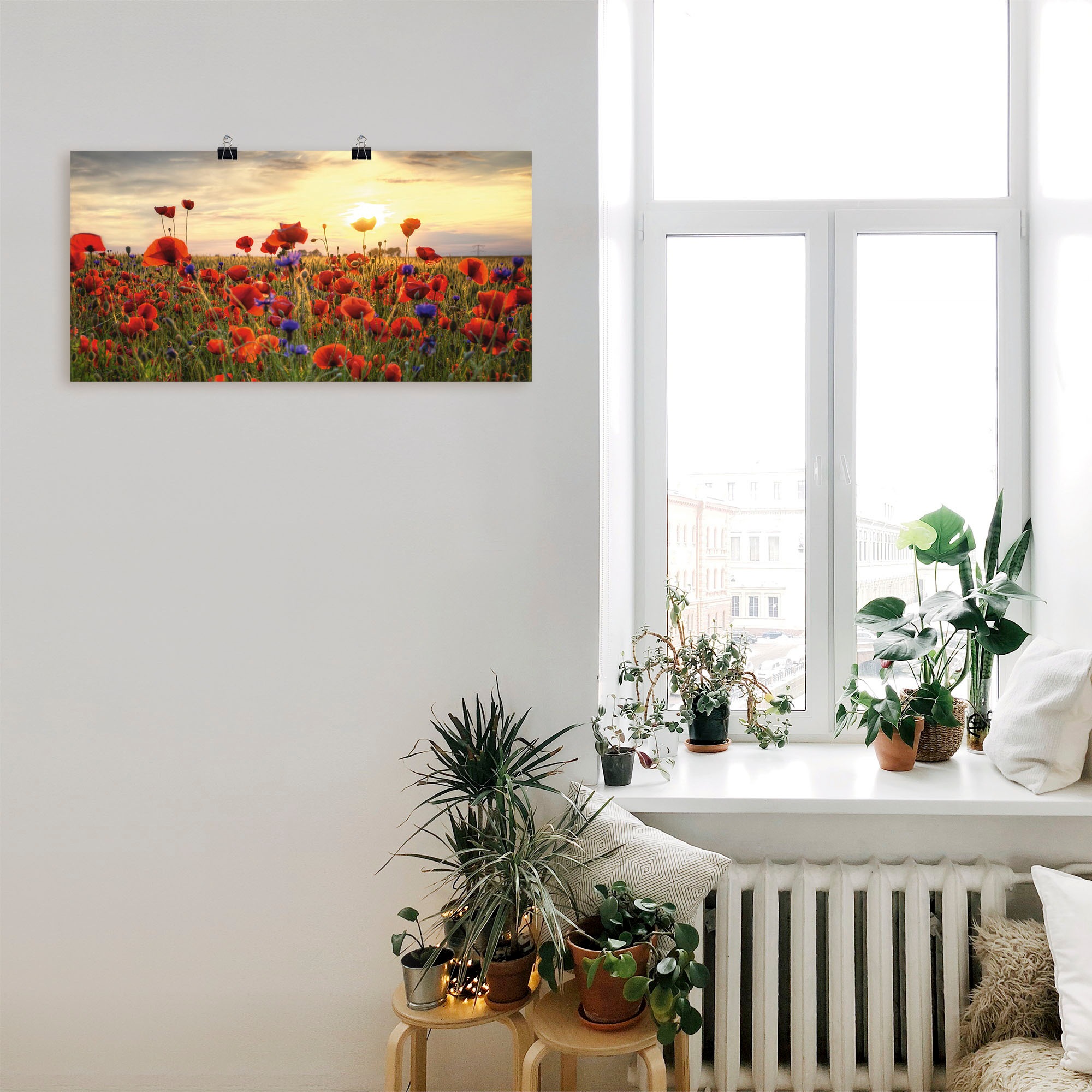 Artland Wandbild "Mohnblumen", Blumen, (1 St.), als Alubild, Outdoorbild, L günstig online kaufen