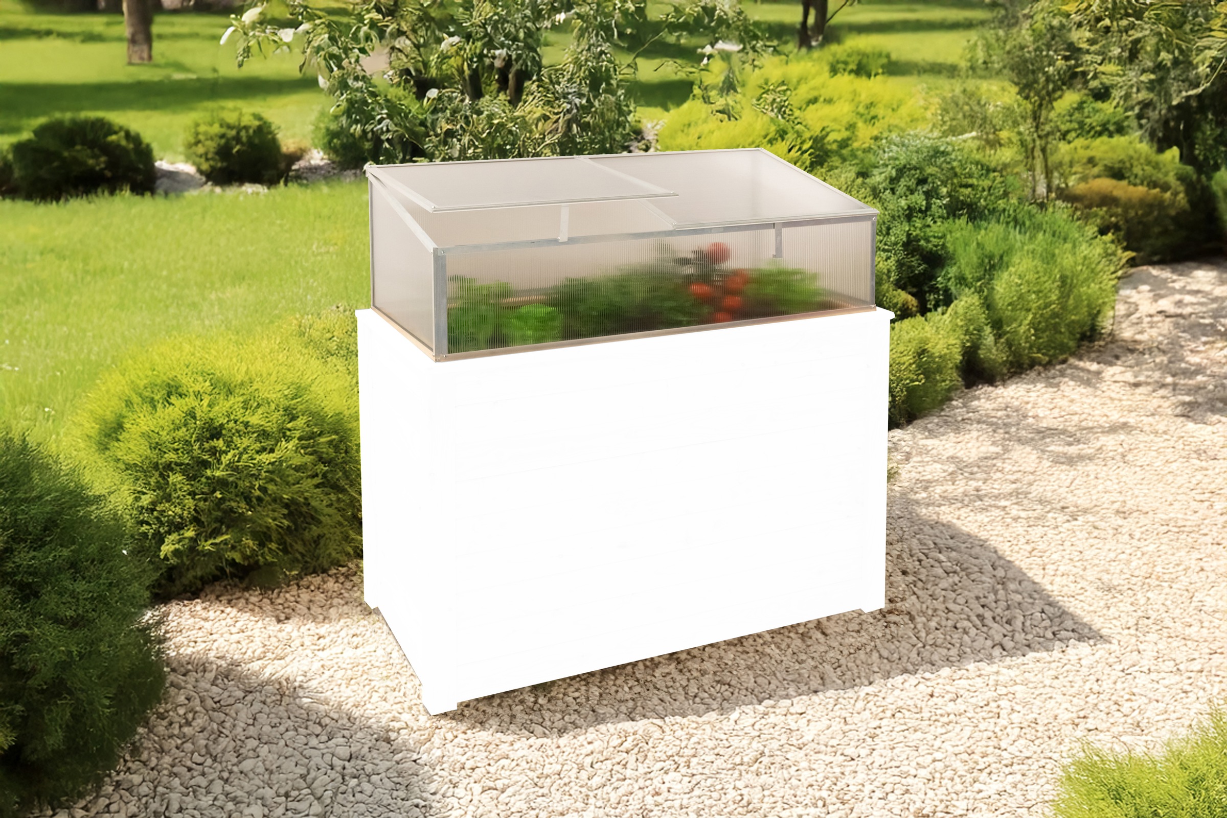 WESTMANN Frühbeetaufsatz »Genus 130« BxTxH: 125x62x41 cm