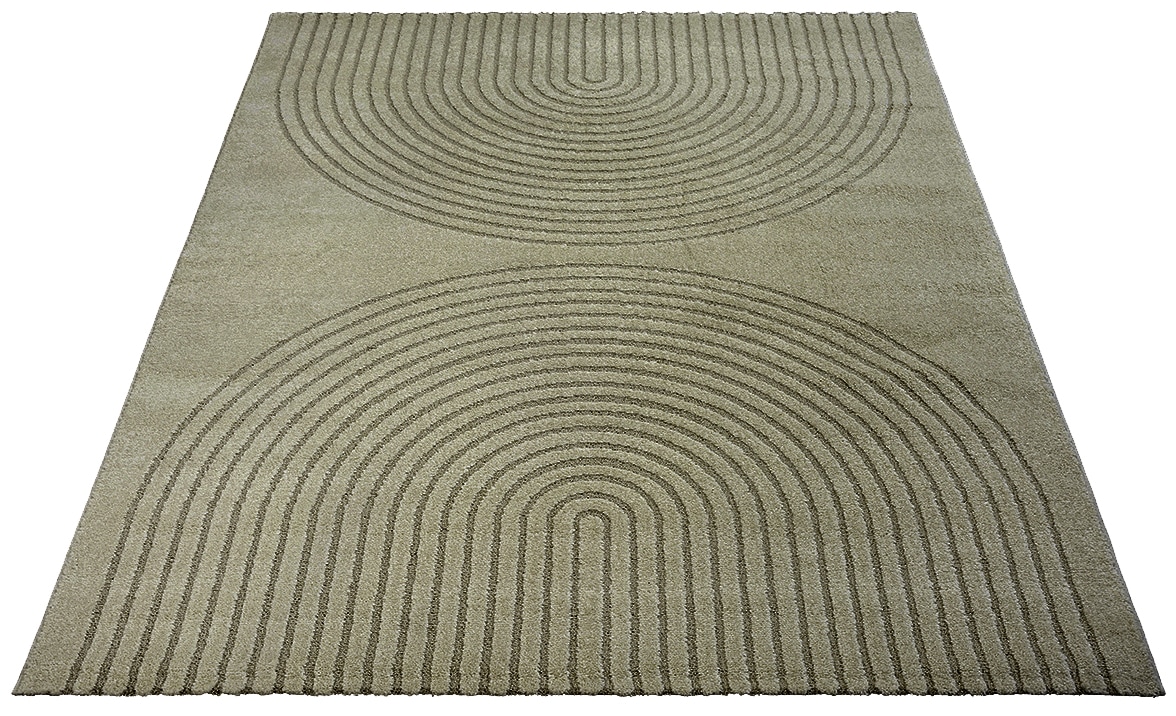 the carpet Teppich »Elisa« rechteckig 12 mm Höhe moderner Wohnzimmer Teppich, hohe Flordichte und angenehm weich