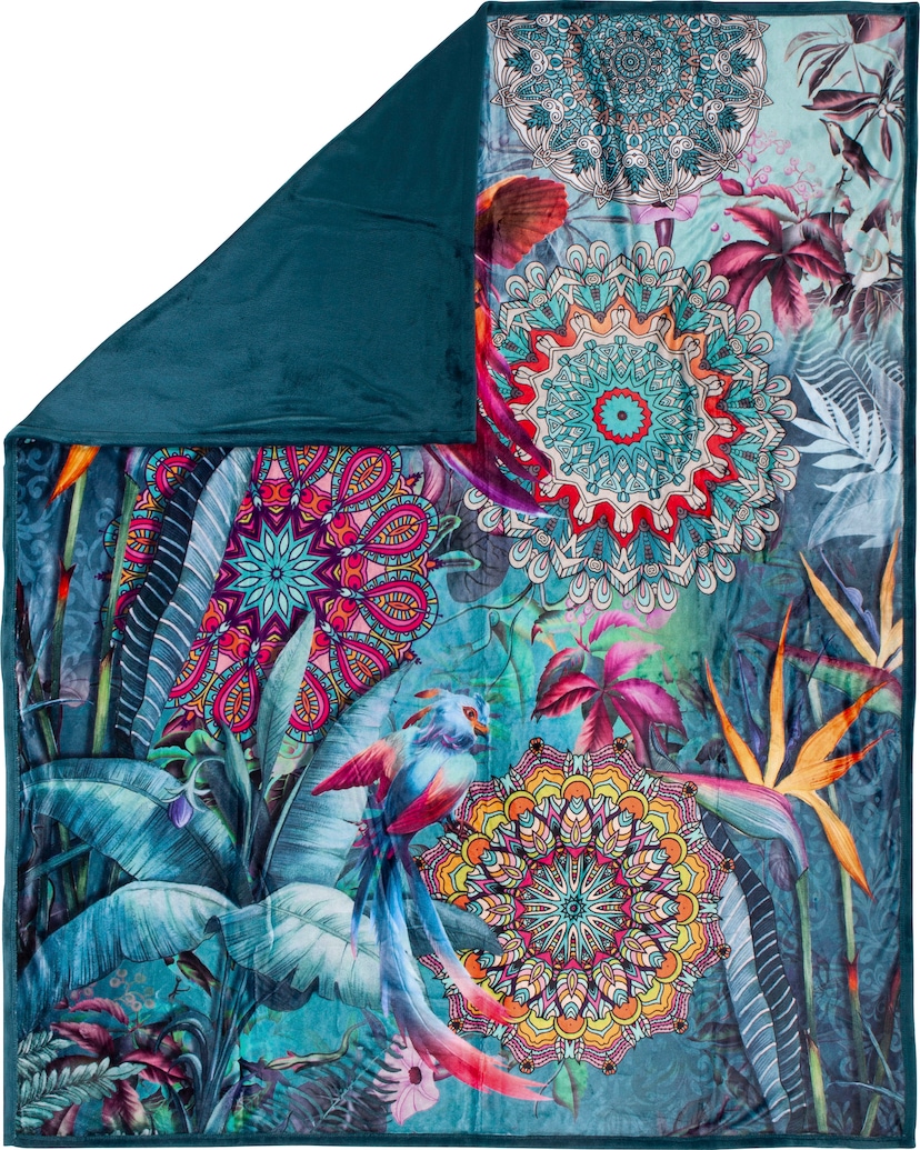 Artland Wandbild »Sonnenschein Calla I«, Blumenbilder, (1 St.), als Alubild,  Leinwandbild, Wandaufkleber oder Poster in versch. Größen bestellen | BAUR