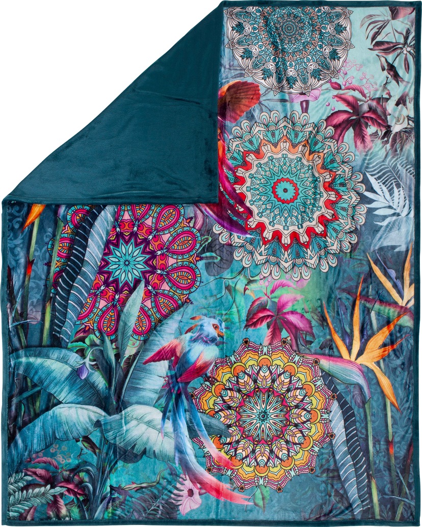 Artland Wandbild in Poster versch. Calla BAUR Wandaufkleber Größen als Leinwandbild, (1 bestellen oder Alubild, I«, »Sonnenschein | Blumenbilder, St.)