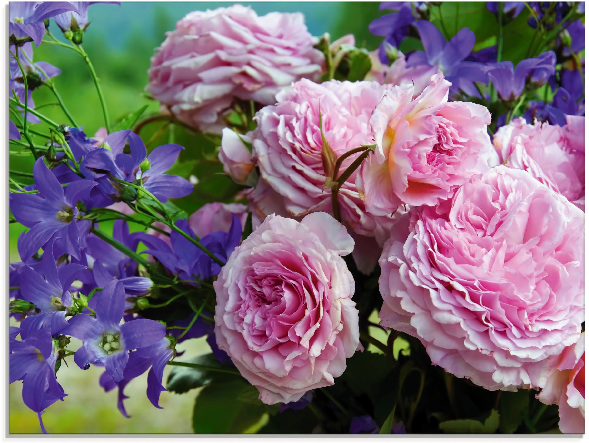 Artland Glasbild »Rosen und Glockenblumen«, Blumen, (1 St.), in verschiedenen Größen