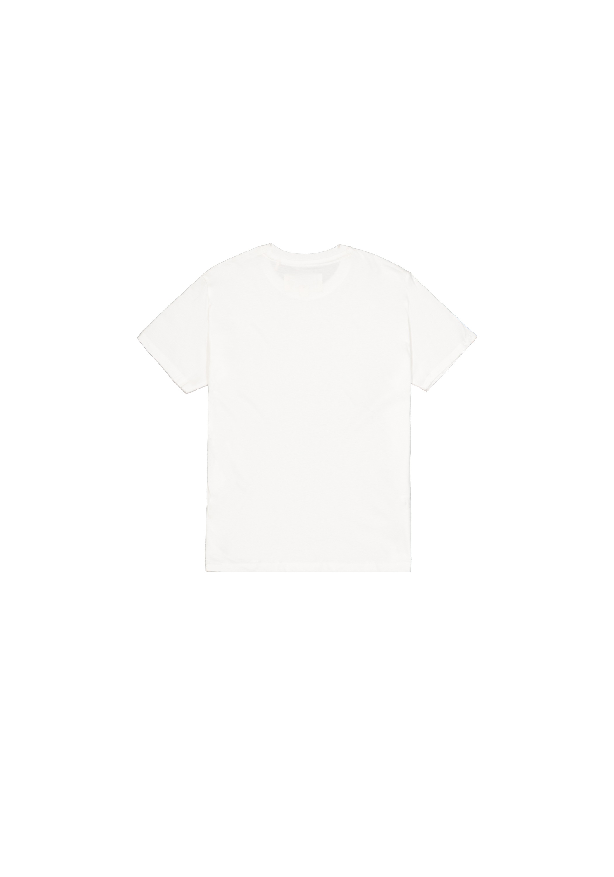 Alpha Industries T-Shirt "Organics EMB T-Shirt" günstig online kaufen