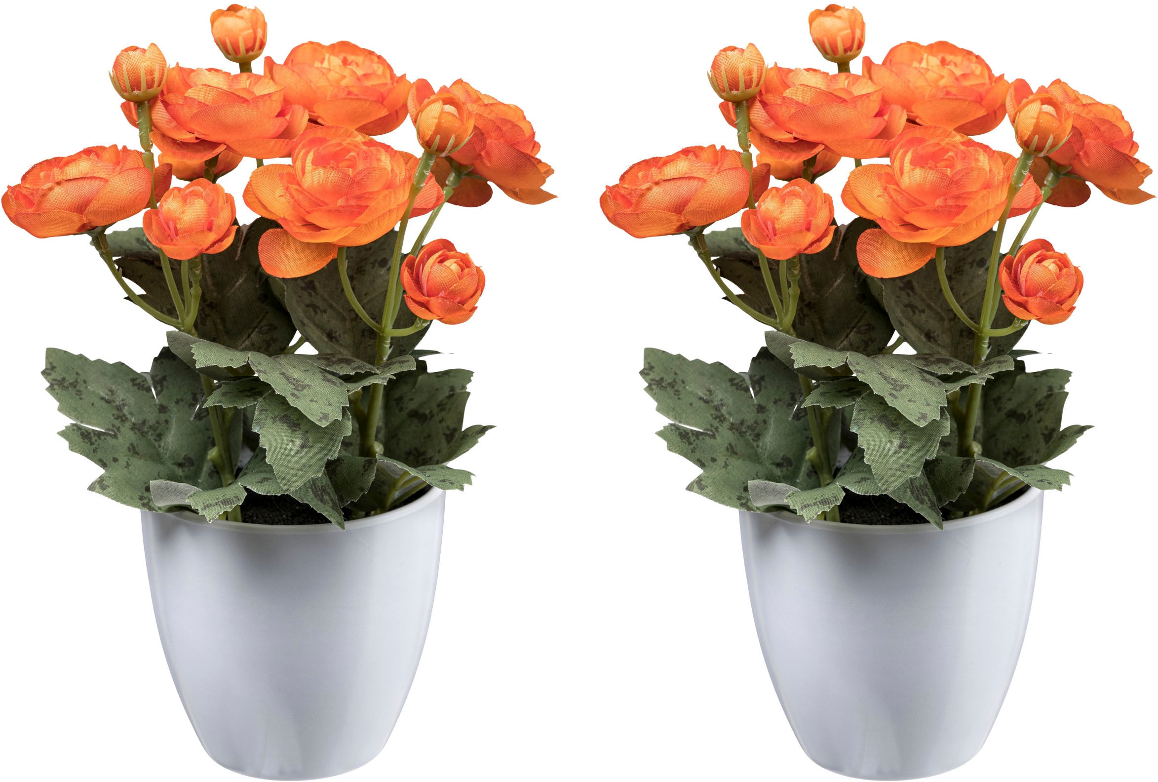 Creativ green Kunstblume "Ranunkel" günstig online kaufen