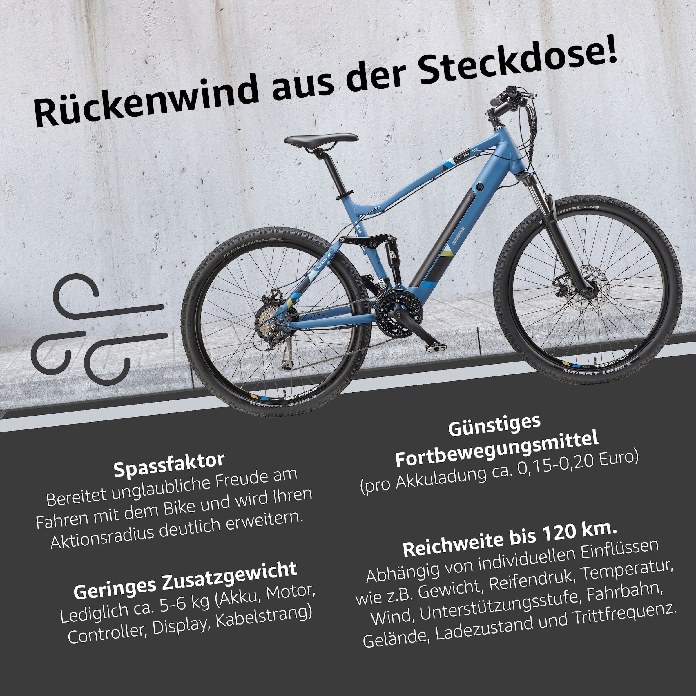 Telefunken E-Bike »Aufsteiger M935«, 24 Gang, Shimano, Acera, Heckmotor 250 W, Pedelec