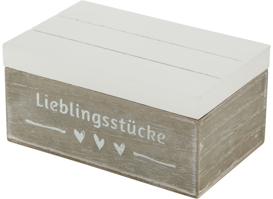 BOLTZE Aufbewahrungsbox 