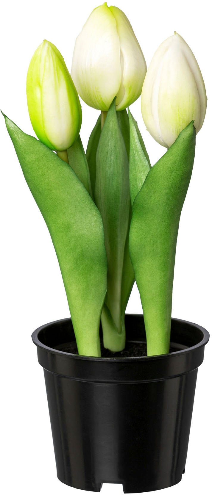 my home Kunsttulpe »Tulpe im Topf«
