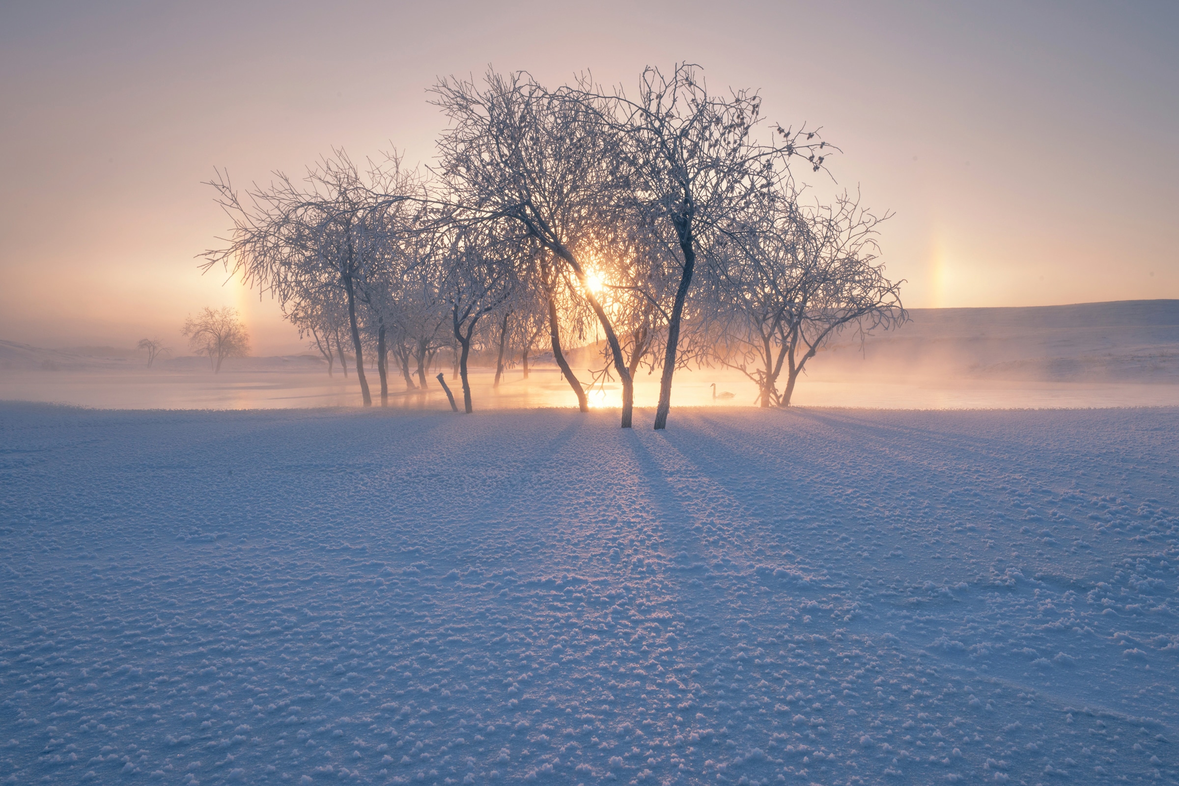 Papermoon Fototapete "Photo-Art BINGO Z, SCHNEELANDSCHAFT IM WINTER"