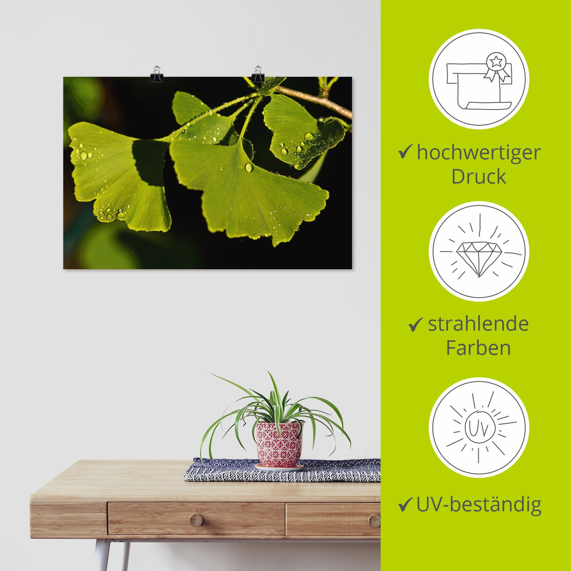 Artland Wandbild »Ginkgo Blätter«, Blätter, (1 St.), als Alubild, Outdoorbild, Poster in verschied. Größen