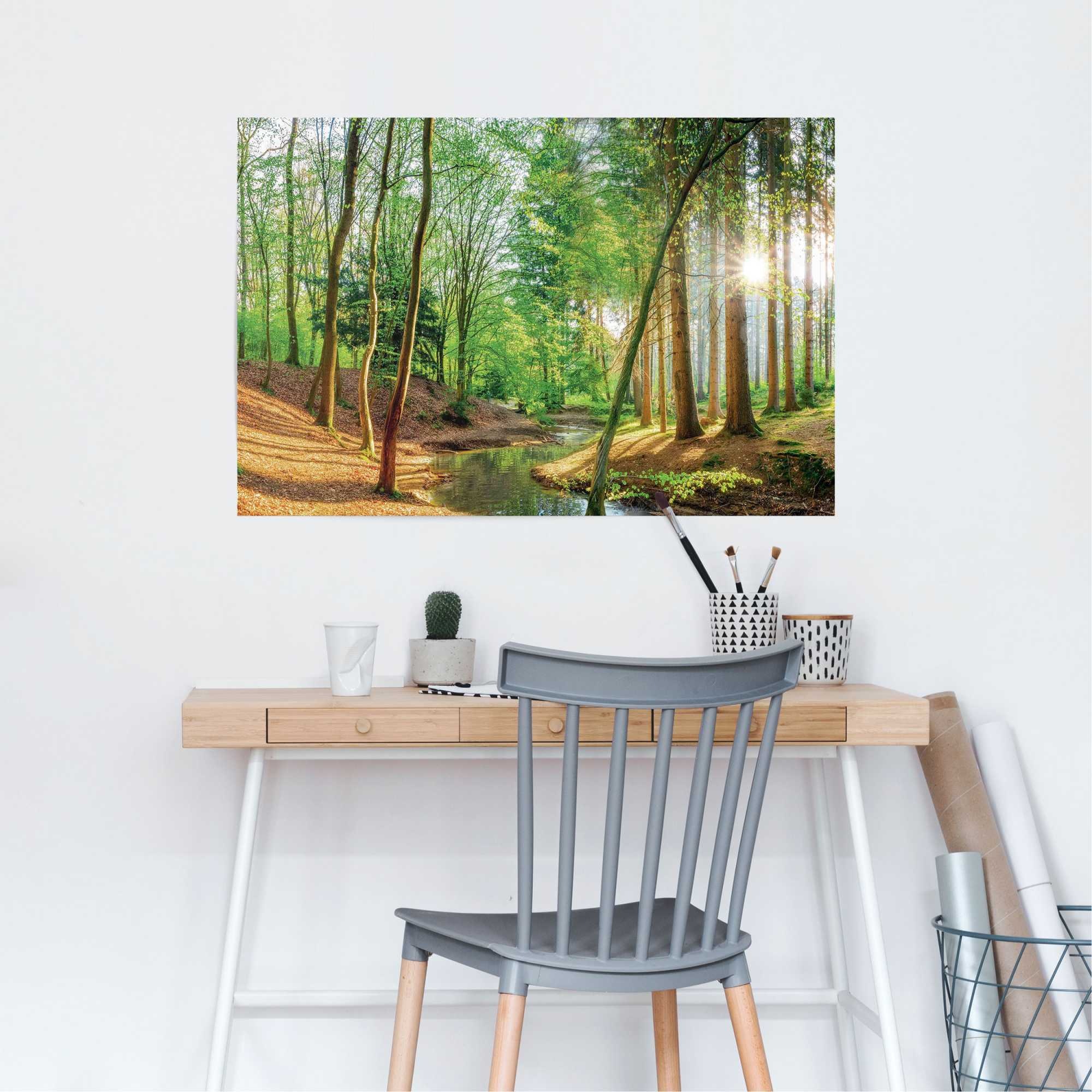 Reinders Poster "Wald in der Sonne" günstig online kaufen