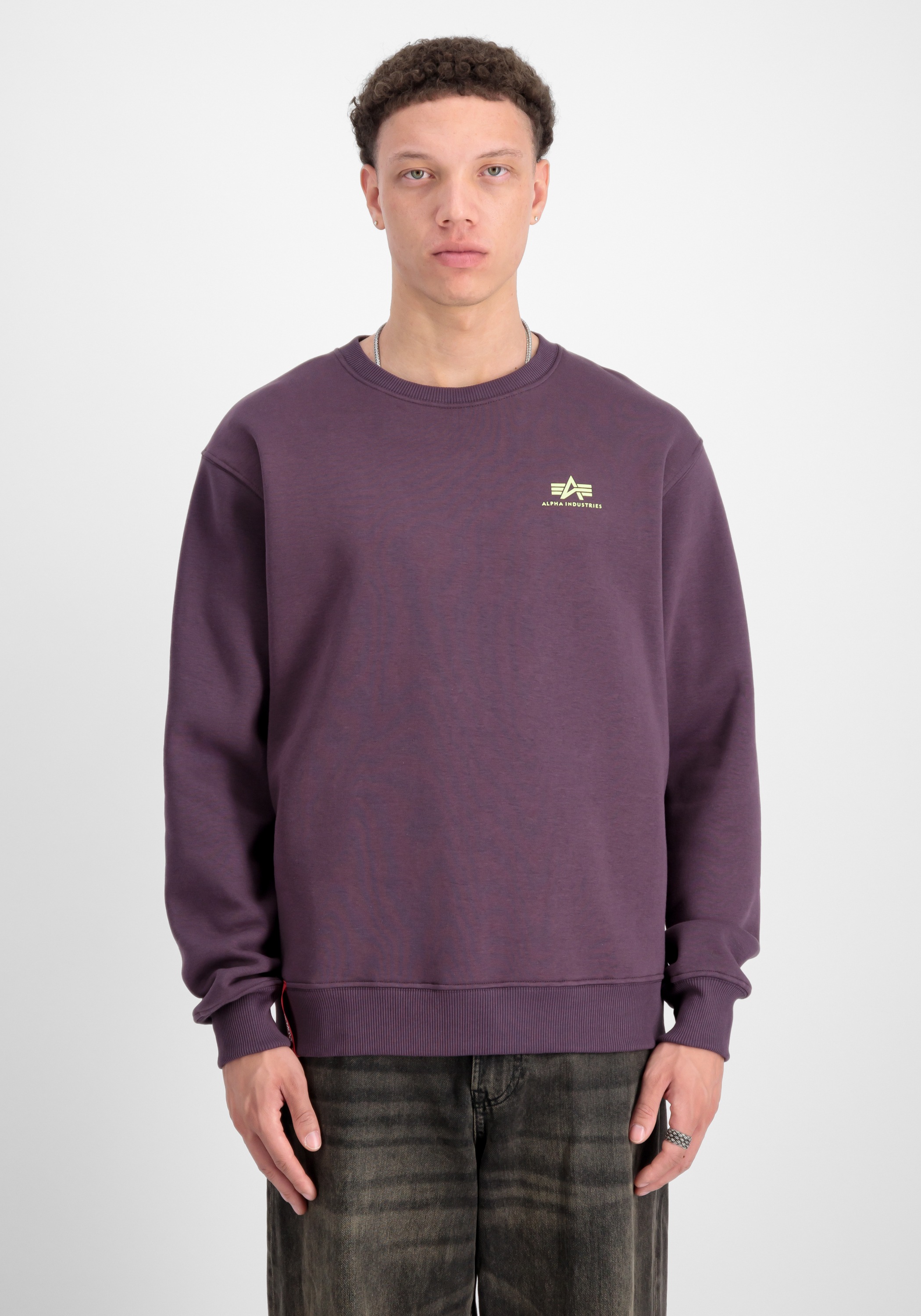 Alpha Industries Sweater »Basic Sweatshirt SL«