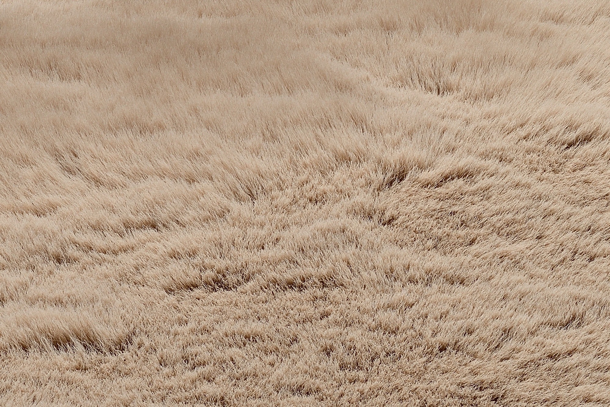 OCI DIE TEPPICHMARKE Teppich »BUFFY SOFT«, rund, 25 mm Höhe