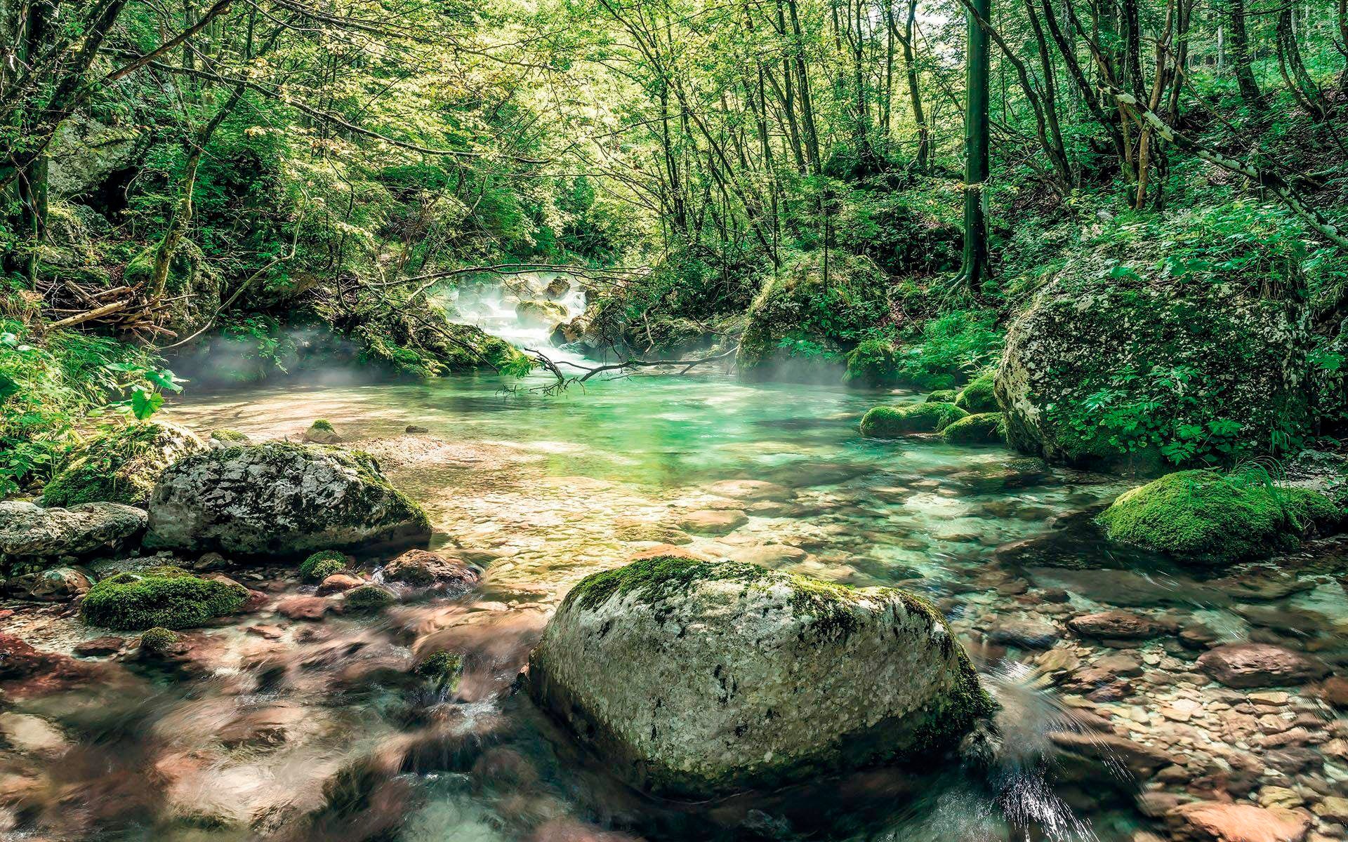 Komar Vliestapete "Digitaldruck Vlies - Tranquil Pool - Größe 400 x 250 cm", bedruckt, Wohnzimmer, Schlafzimmer