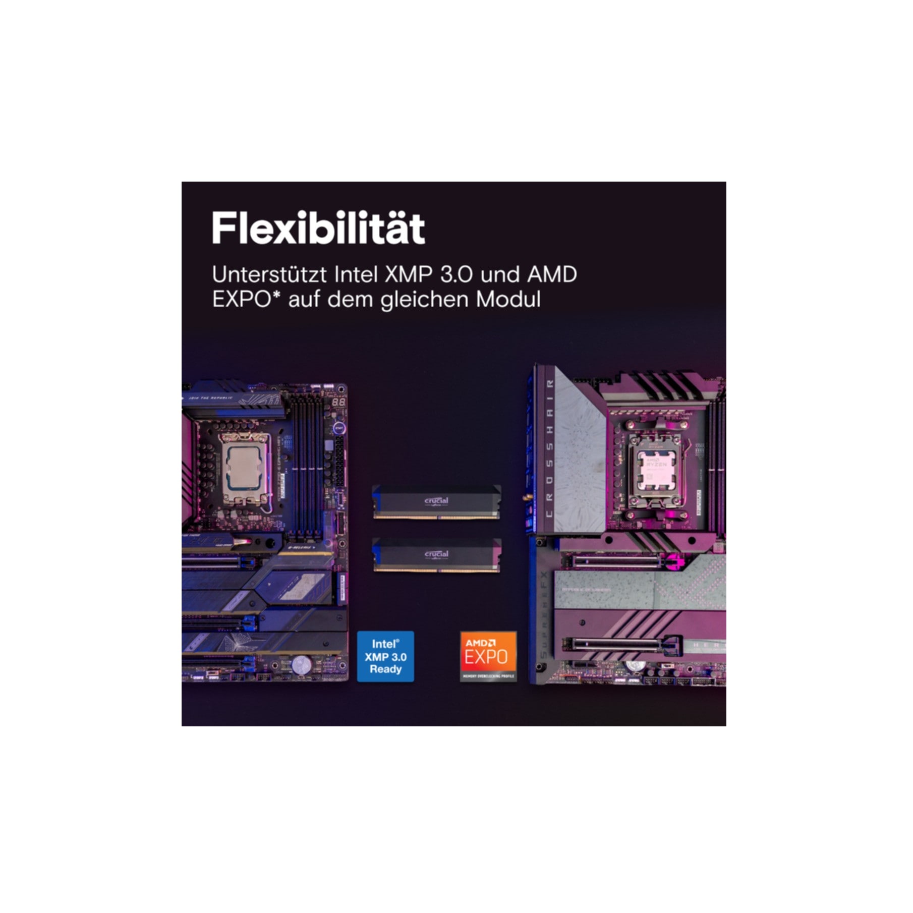 Crucial Arbeitsspeicher »CP2K32G60C40U5B«