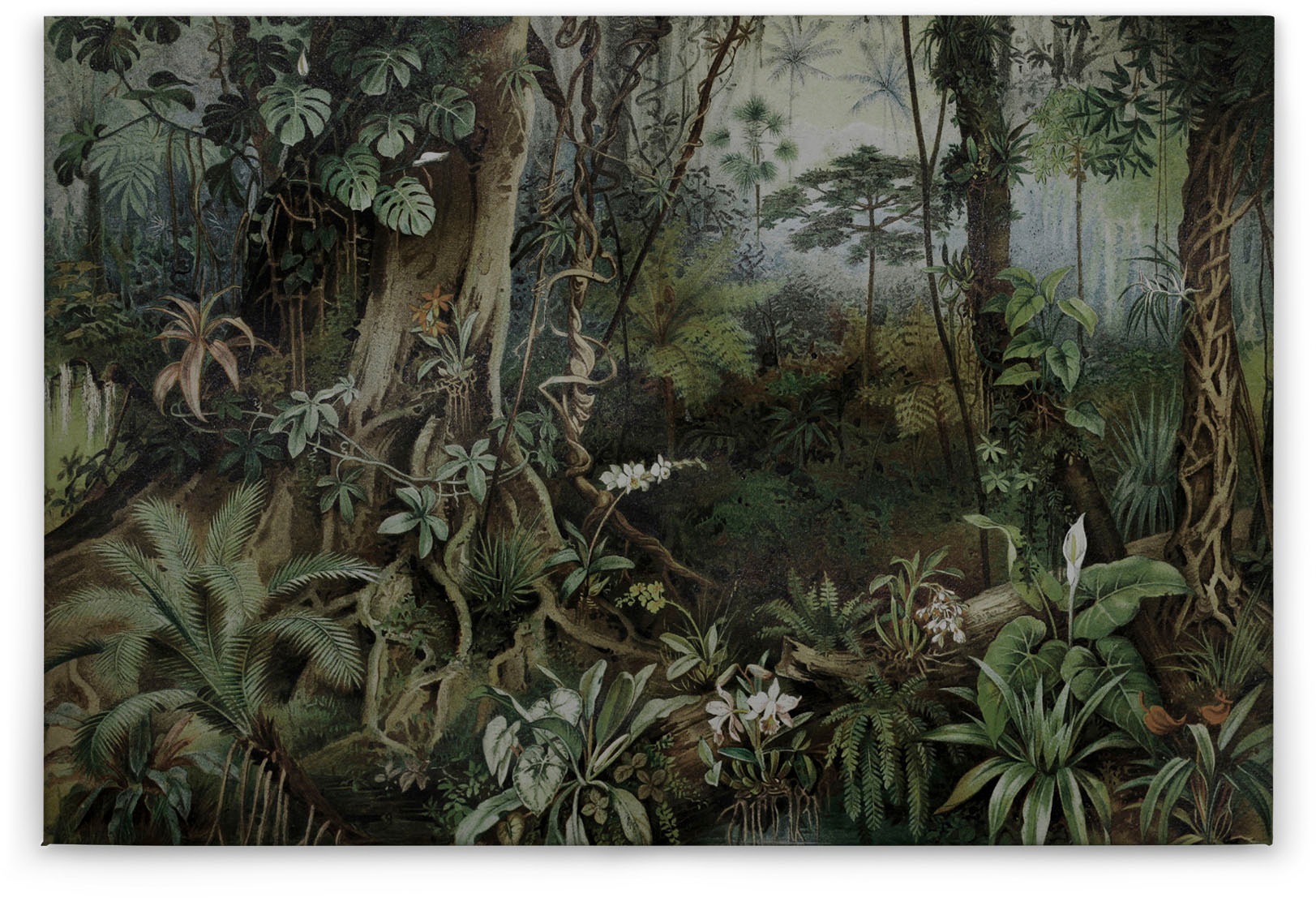 A.S. Création Leinwandbild »jungle«, Kunst-Gemälde-Kinder, (1 St.), Keilrahmen Bild Dschungel Wald Leinwand-Bild Wohnzimmer modern Kinder