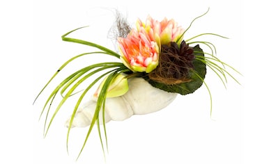Kunstpflanze »Gesteck Seerose in Muschel«
