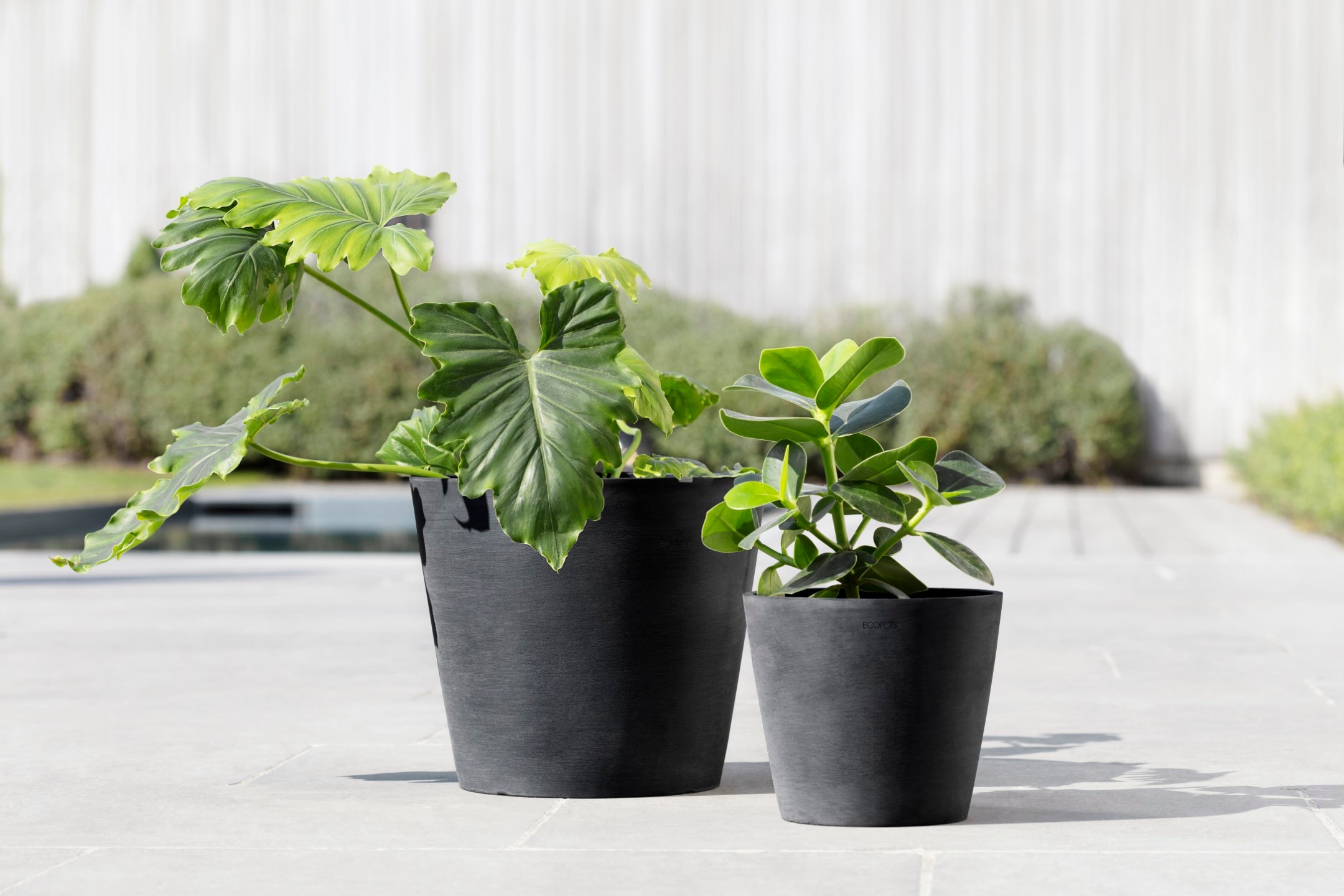 Ecopots Pflanztopf Amsterdam Dunkelgrau 20 cm x 17,5 cm günstig online kaufen