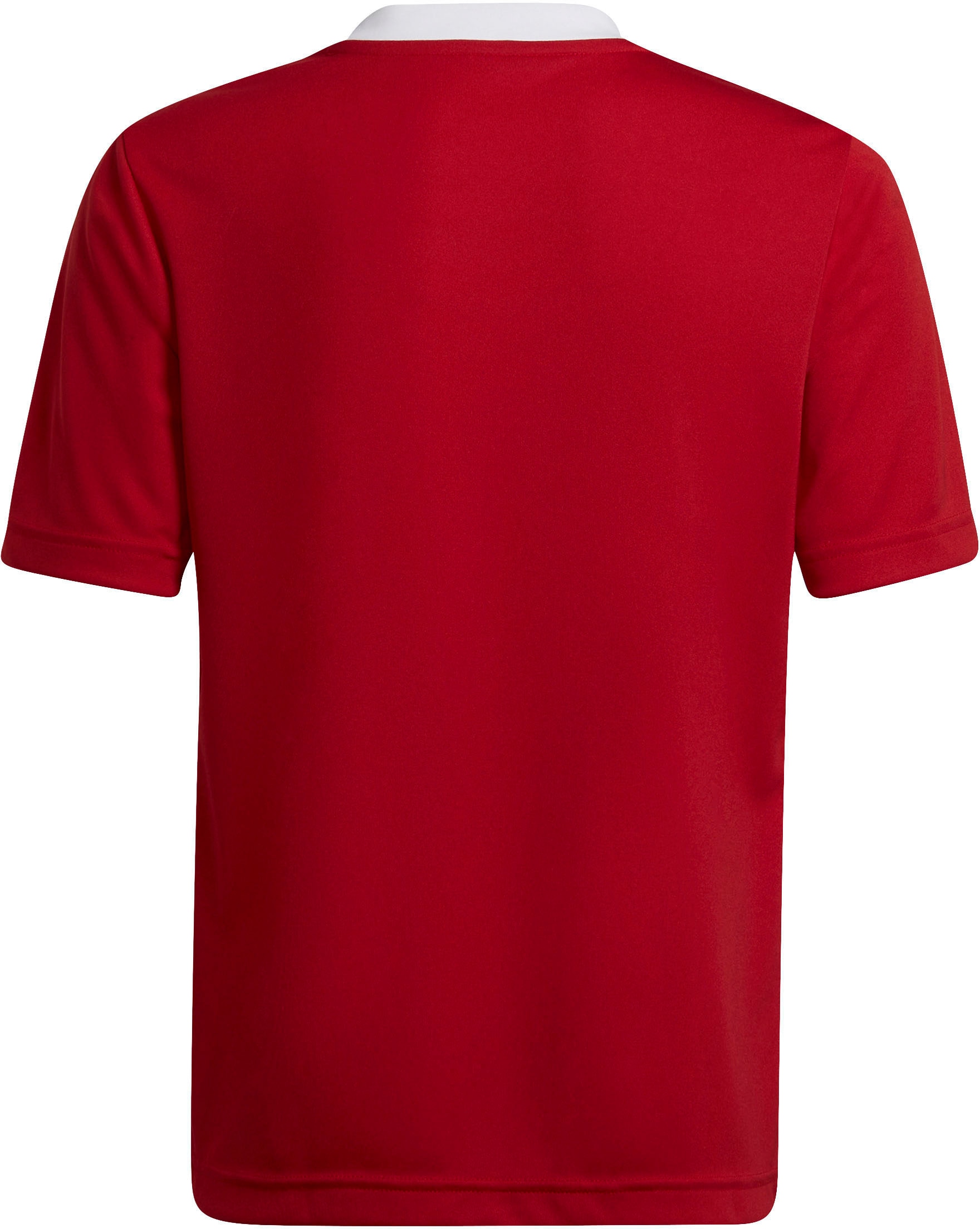 adidas Performance Fußballtrikot »ENT22 JSY Y«