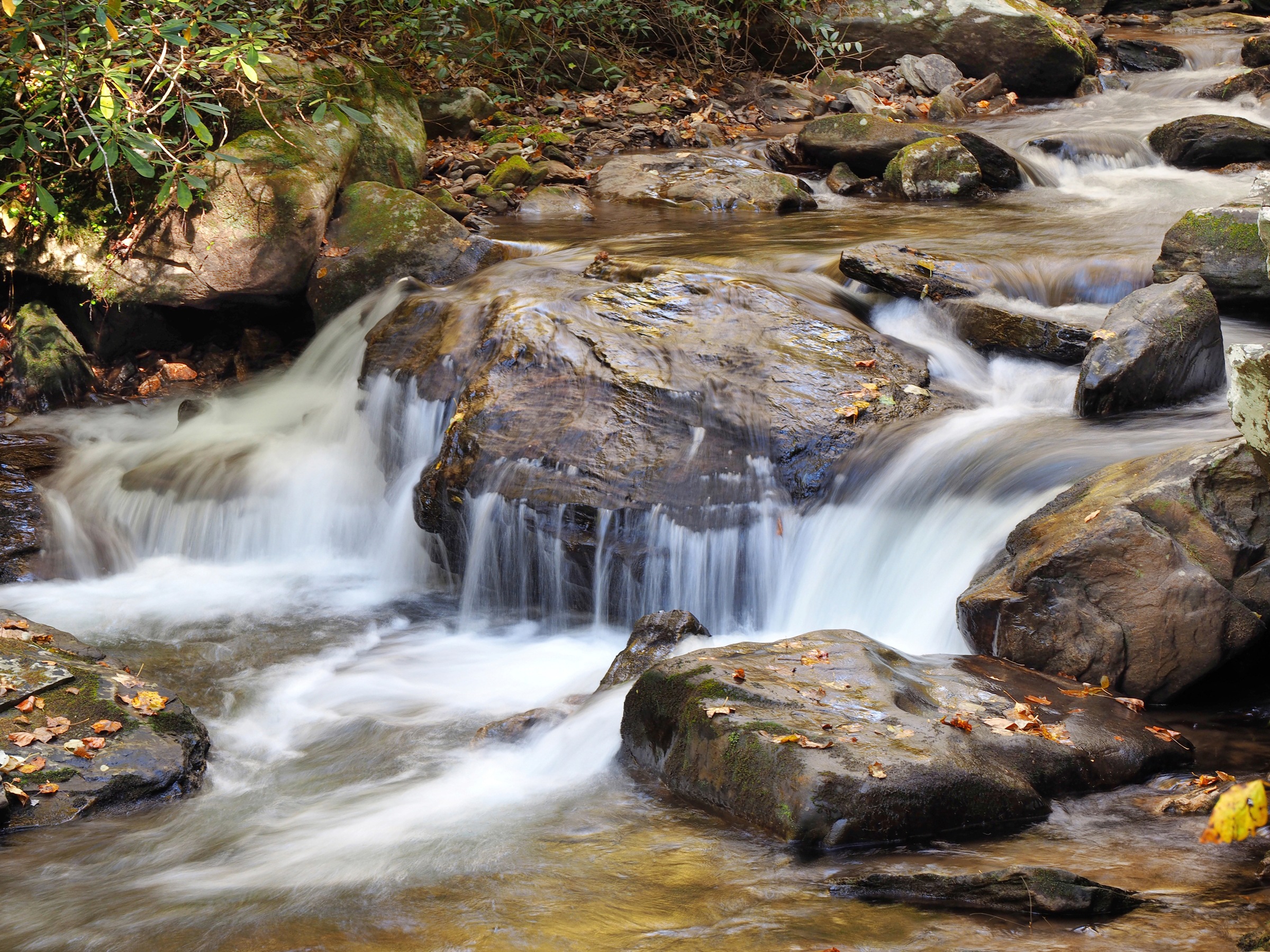 Papermoon Fototapete "WASSERFALL-BÄUME FLUSS SEE STEINE BLUME WALD BACH SONNE"