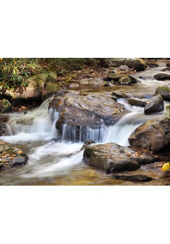 Papermoon Fototapetas »WASSERFALL-BÄUME FLUSS SE...