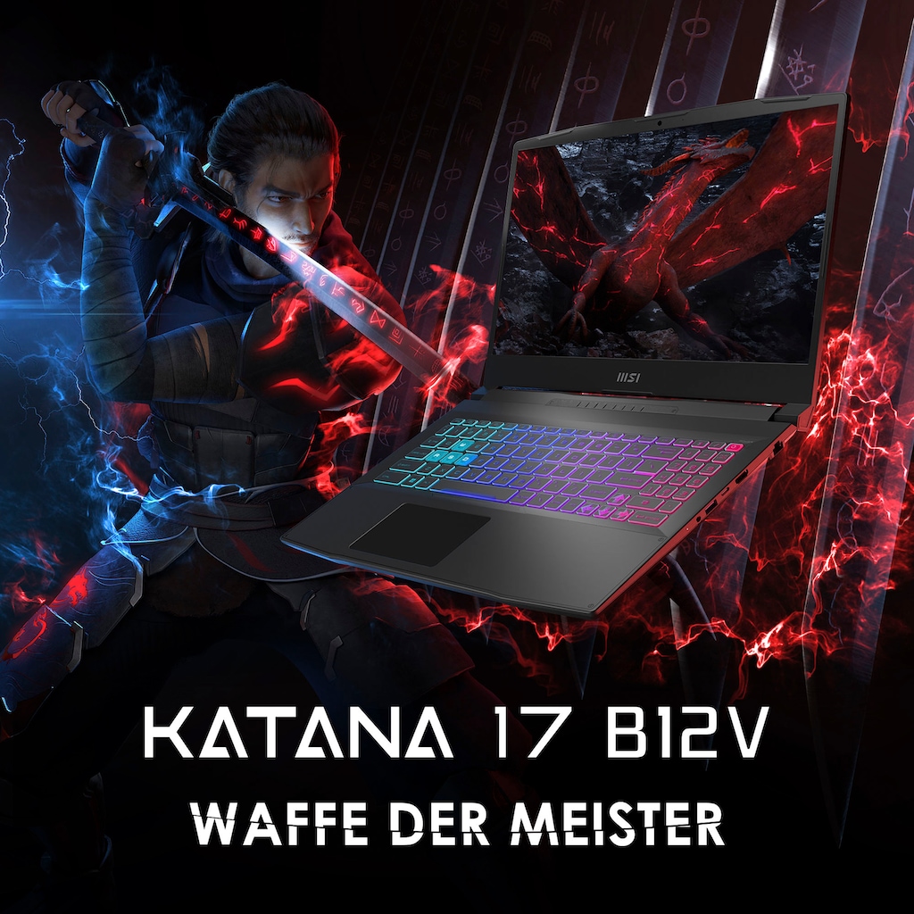 MSI Gaming-Notebook »Katana 17 B12VFK-406«, 43,9 cm, / 17,3 Zoll, Intel, Core i7, GeForce RTX 4060, 1000 GB SSD