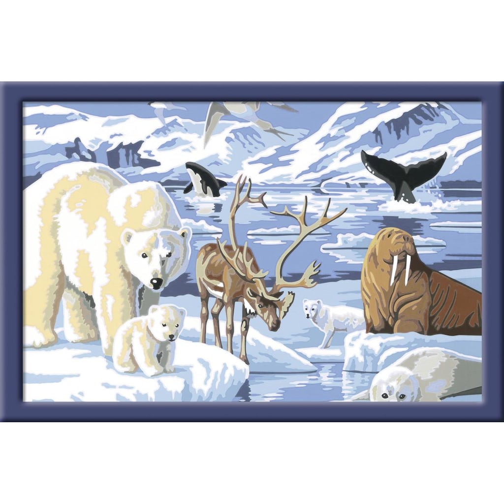 Ravensburger Malen nach Zahlen »Tiere der Arktis«