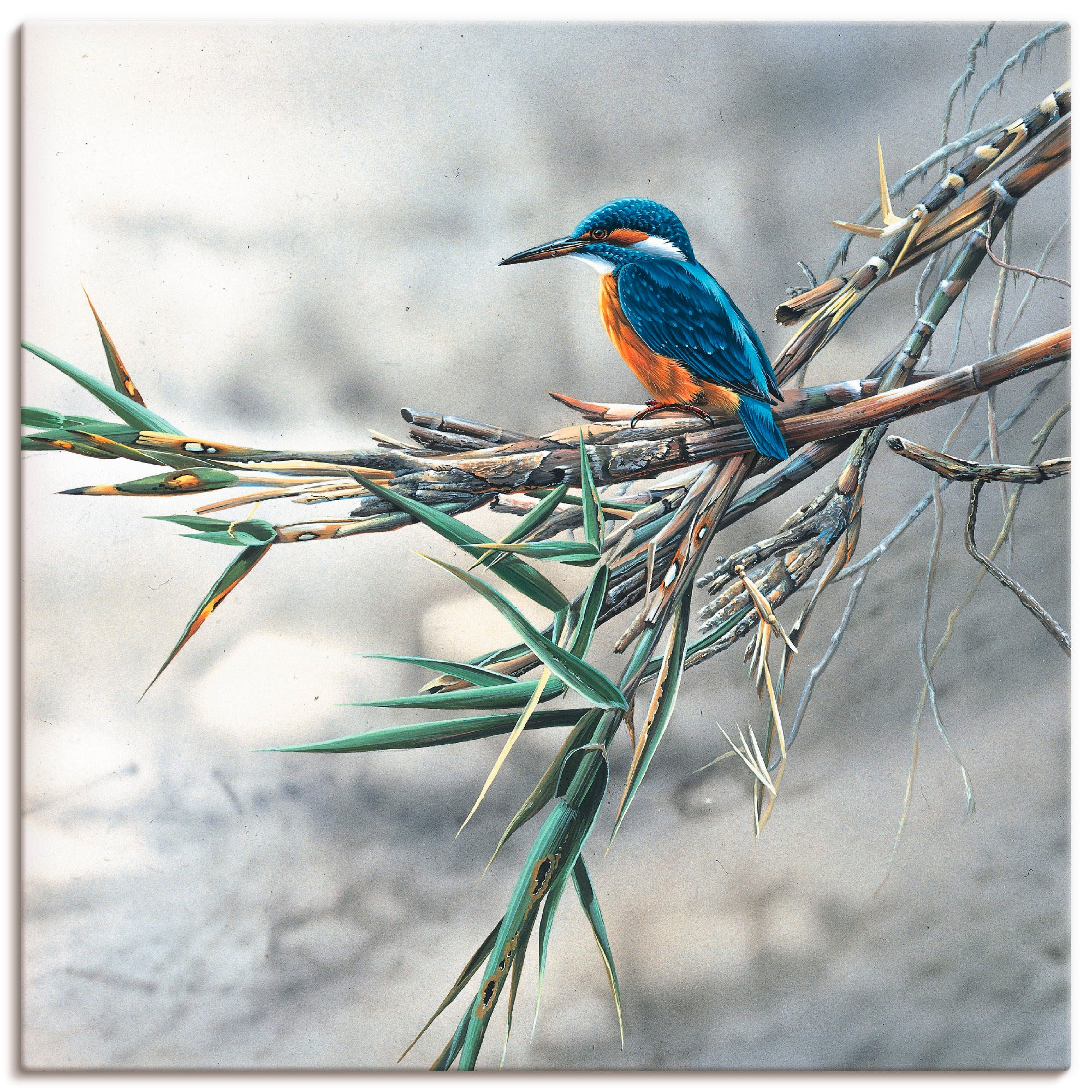 Artland Wandbild »Eisvogel I«, Vögel, (1 St.), als Leinwandbild,  Wandaufkleber oder Poster in versch. Größen bestellen | BAUR