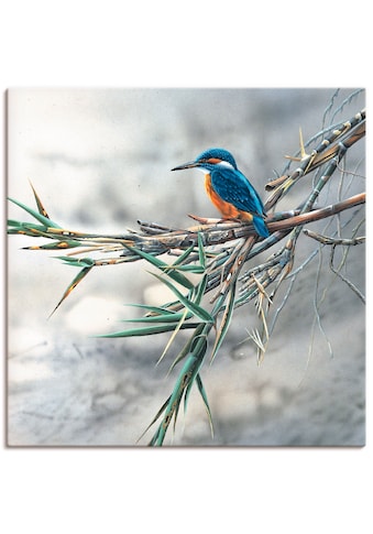 Artland Paveikslas »Eisvogel I« Vögel (1 St.) ...