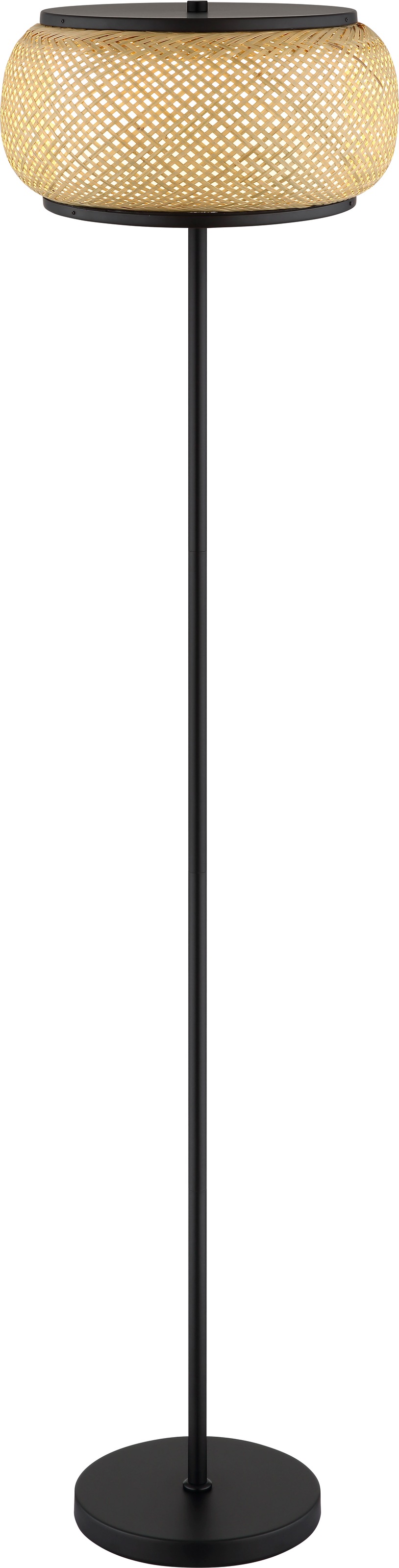 bambus weißer belag Nicht-ausläuferbildender Bambus Kollektion (x2) - Fargesia robusta  campbell, fargesia scabrida asian wonder main image 1