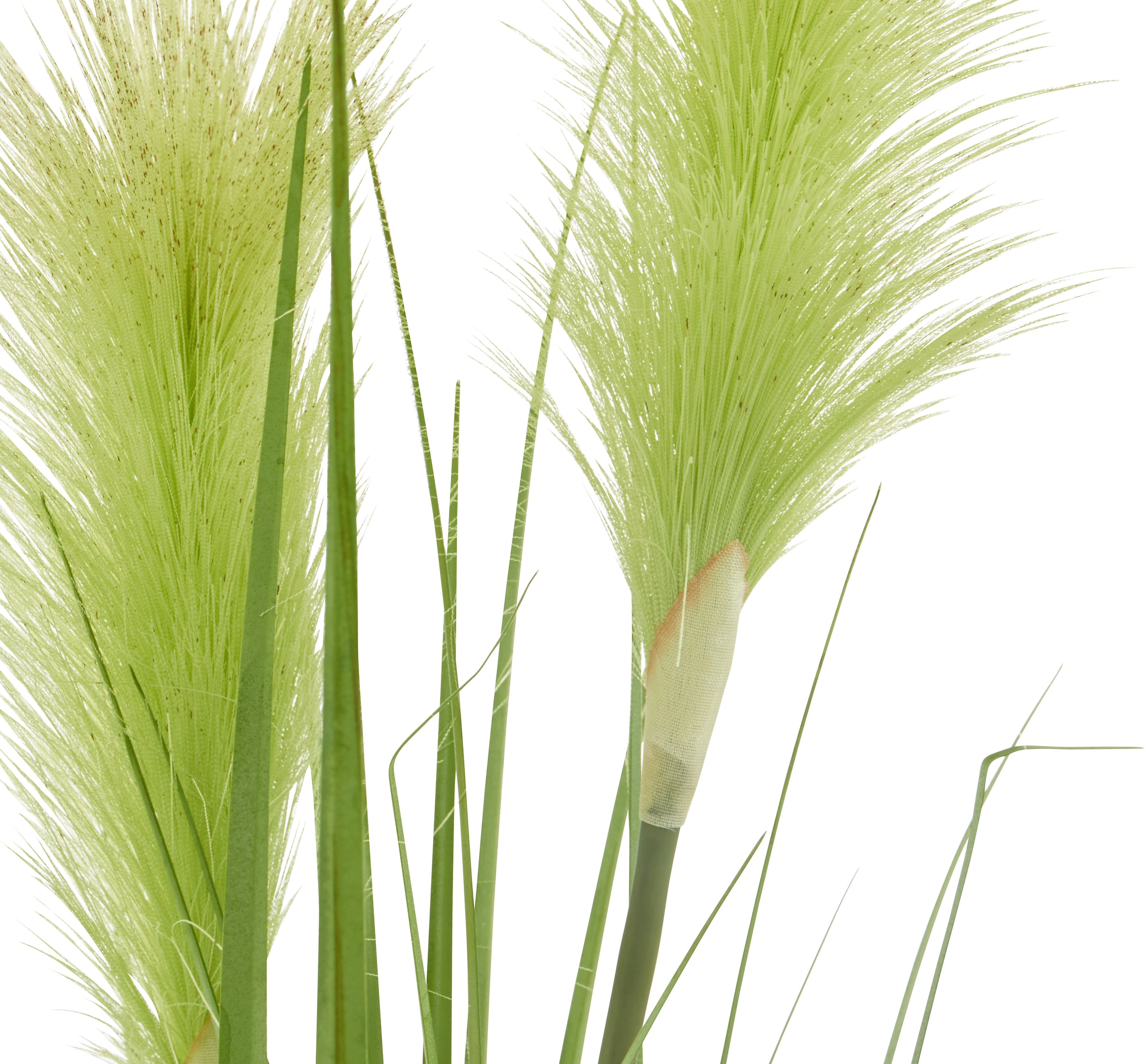 | »Stretton«, Gras Kunstpflanze BAUR Home bestellen affaire