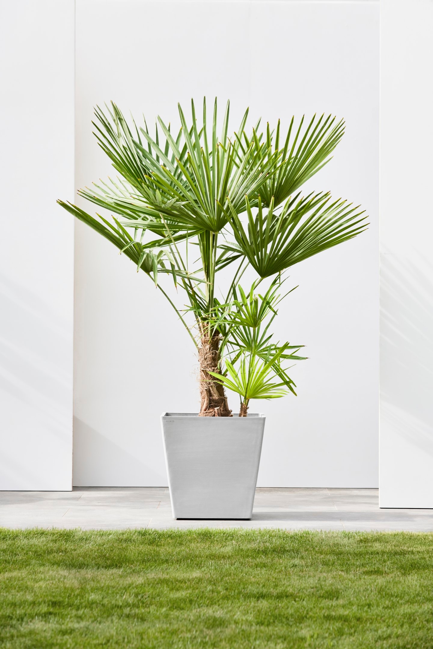 ECOPOTS Blumentopf »Rotterdam mit Rollen 50 Weißgrau« für innen und außen: frostsicher, bruchsicher und lichtbeständig