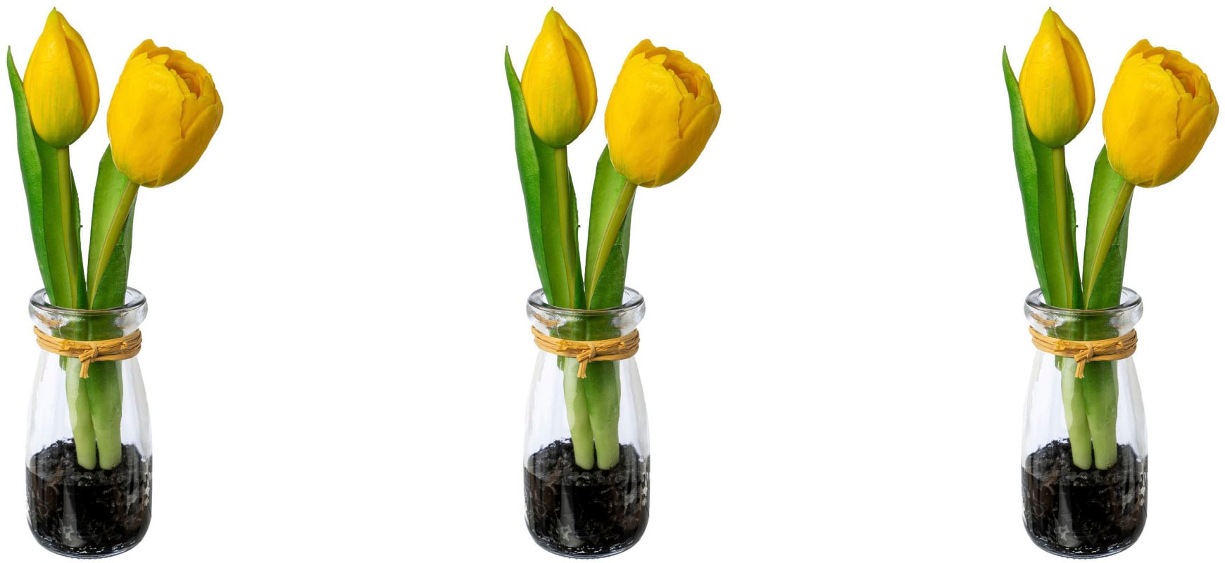 my home Kunsttulpe »Tulpen in Vase«