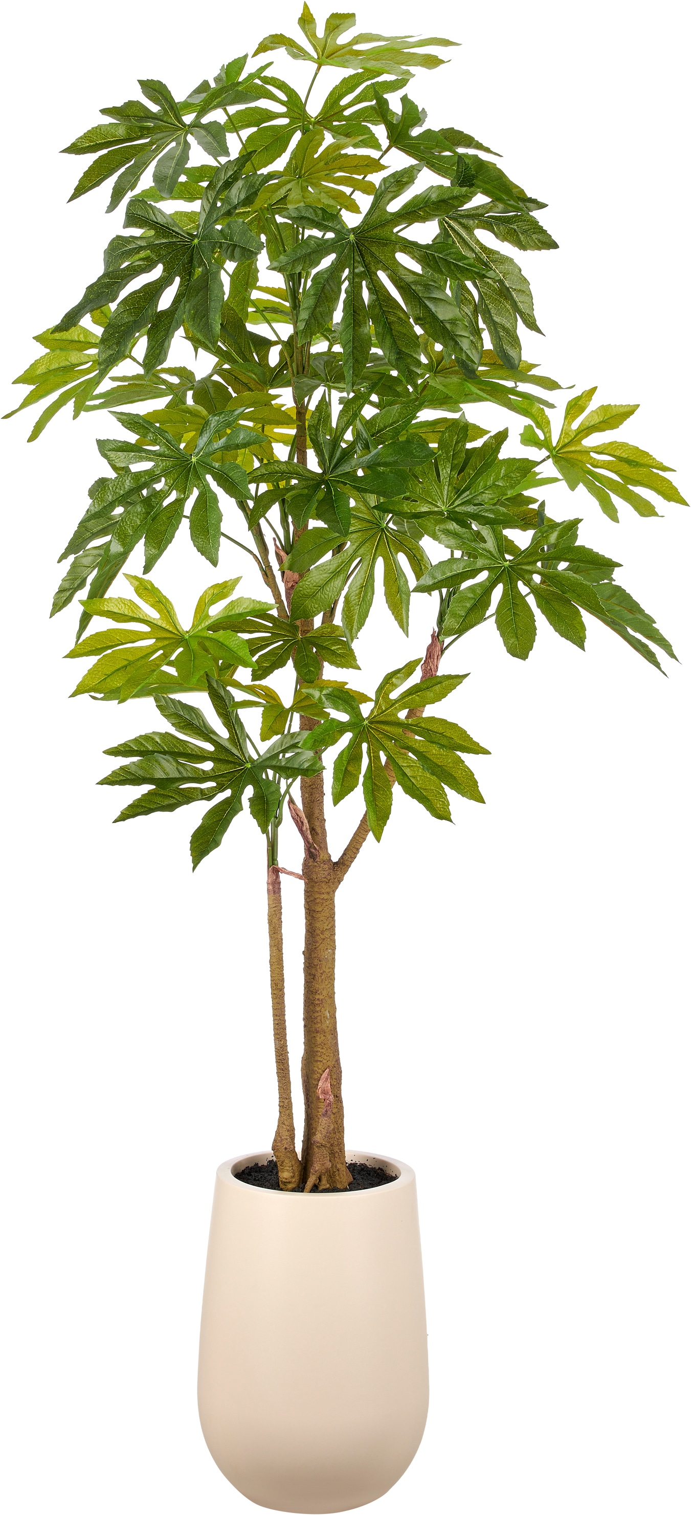 Creativ green Kunstbaum "Aralia japonica" in beeindruckender Größe