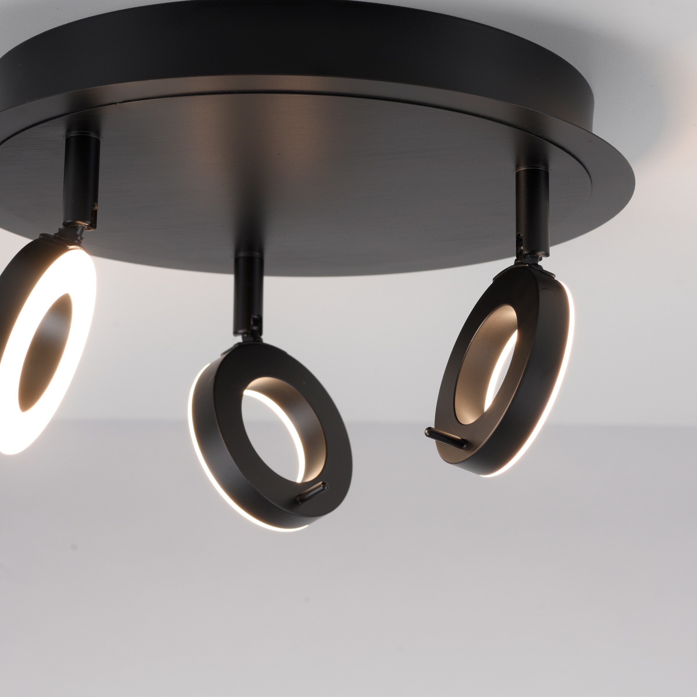 Paul Neuhaus Deckenleuchte "SILEDA", 3 flammig, Leuchtmittel LED-Board  LED günstig online kaufen