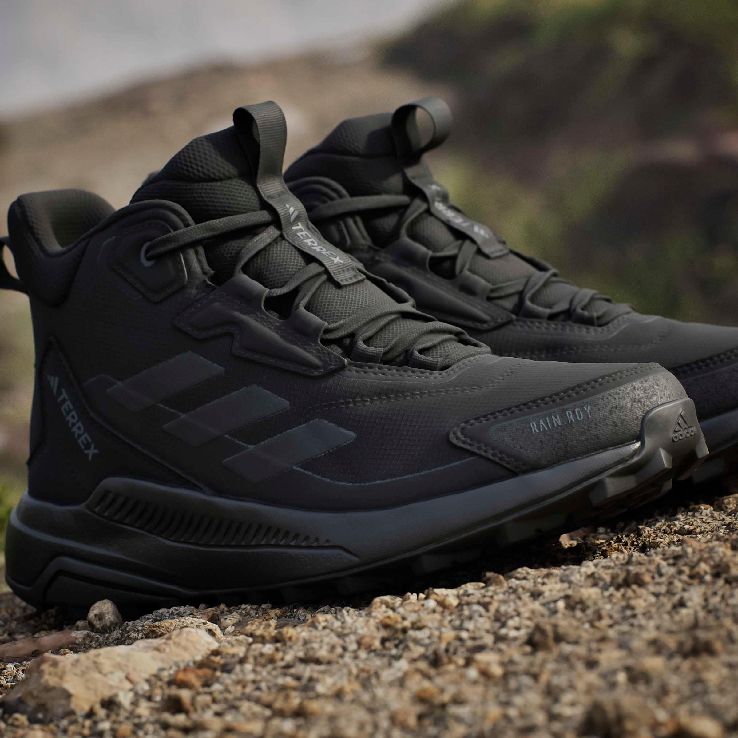 adidas TERREX Wanderschuh »TERREX ANYLANDER MID RAIN.RDY«  wasserdicht