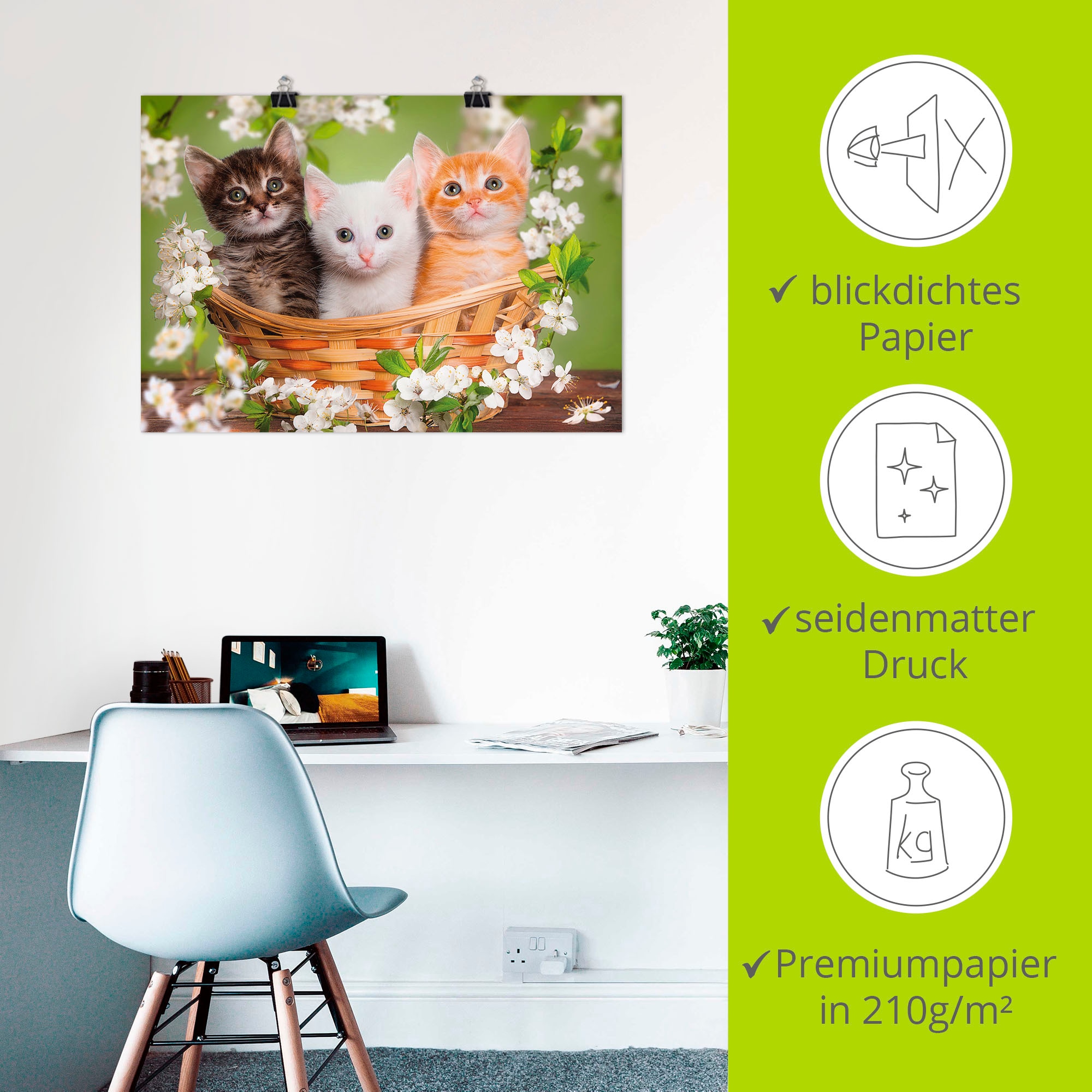 Artland Wandbild »Katzen sitzen in einem Korb«, Haustiere, (1 St.), als Leinwandbild, Poster, Wandaufkleber in verschied. Größen