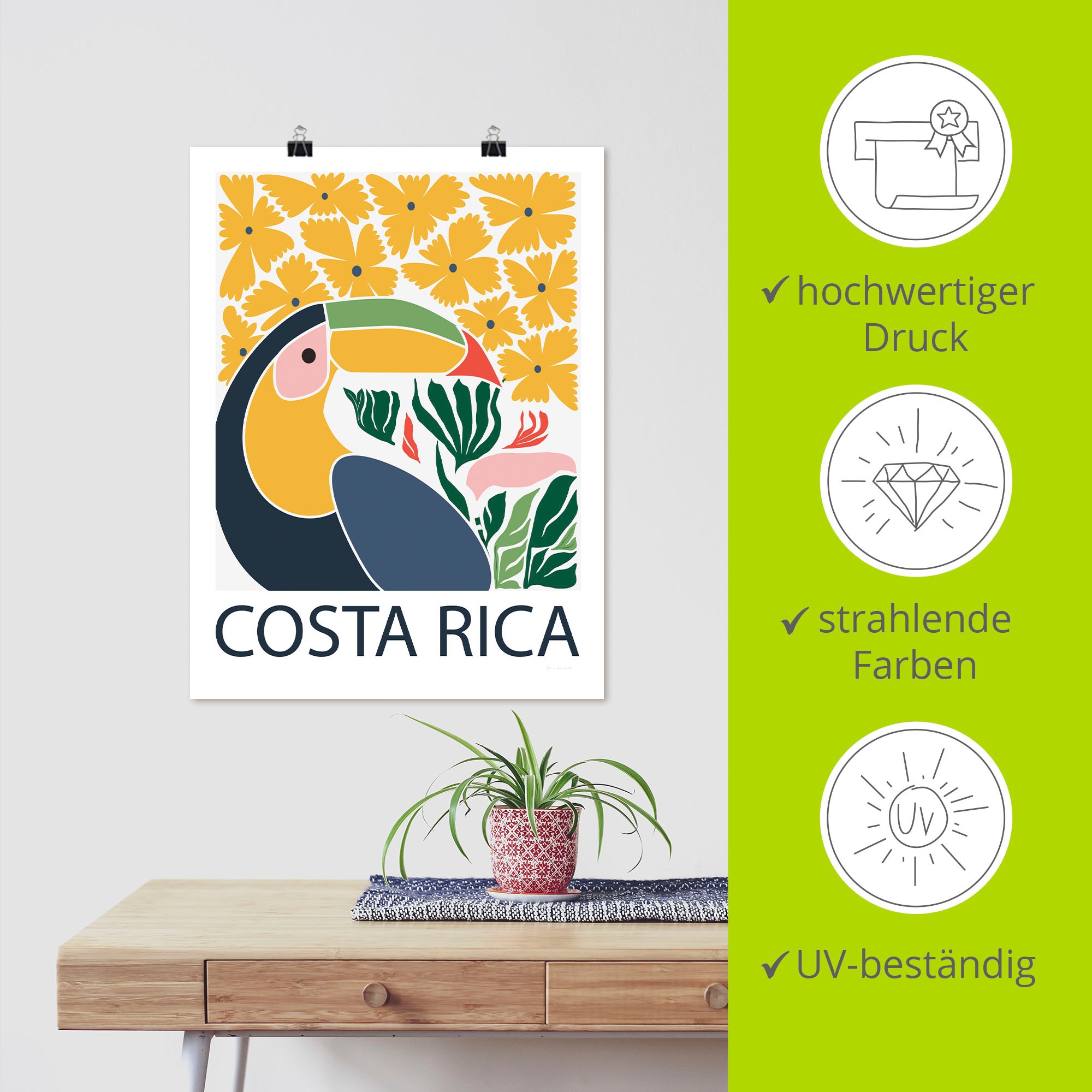 ARTland Costa Rica Affiche Oiseaux Multicolore 60x80cm 2