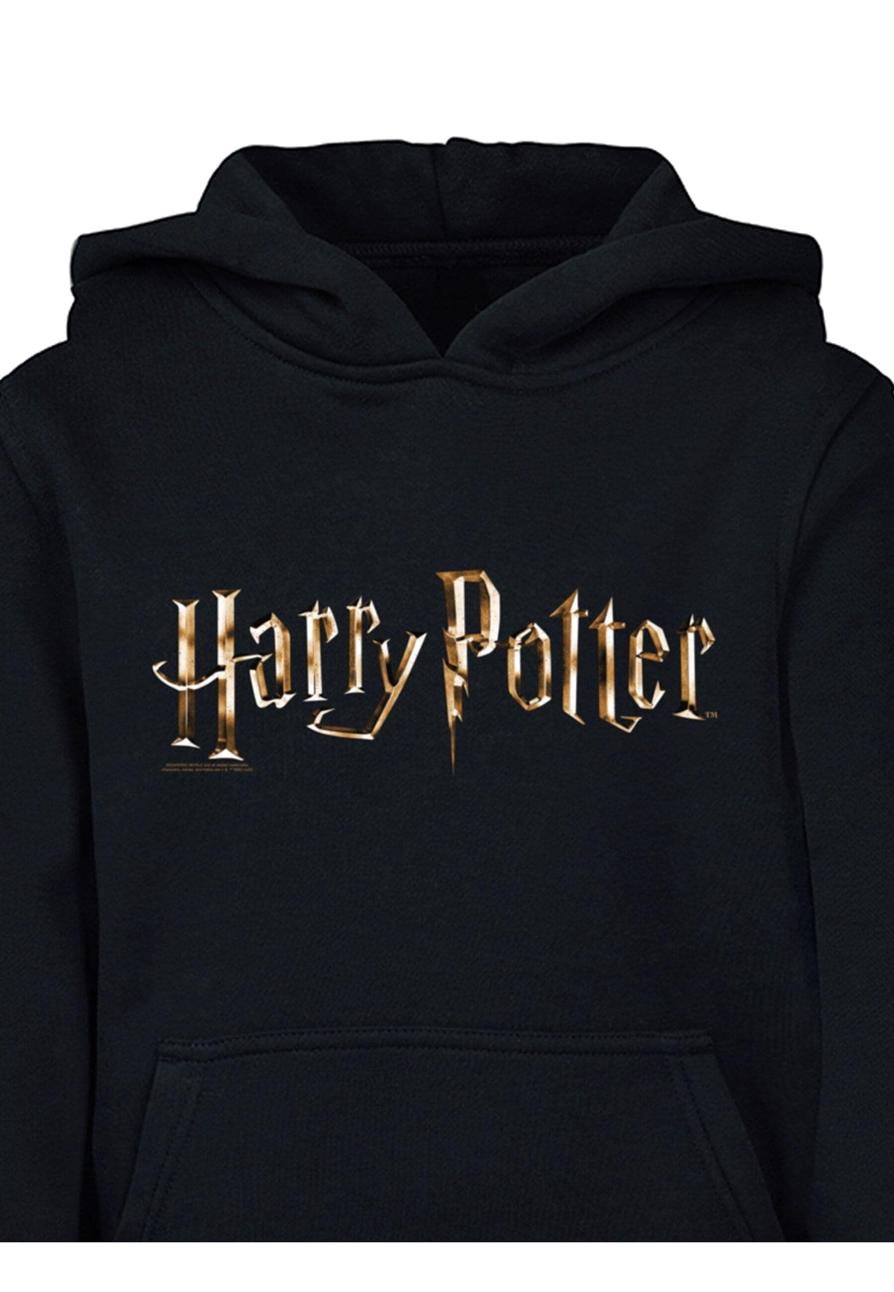 ABSOLUTE CULT Kapuzensweatshirt »ABSOLUTE CULT Herren Kids Harry Potter - Colour Logo Basic Hoody«