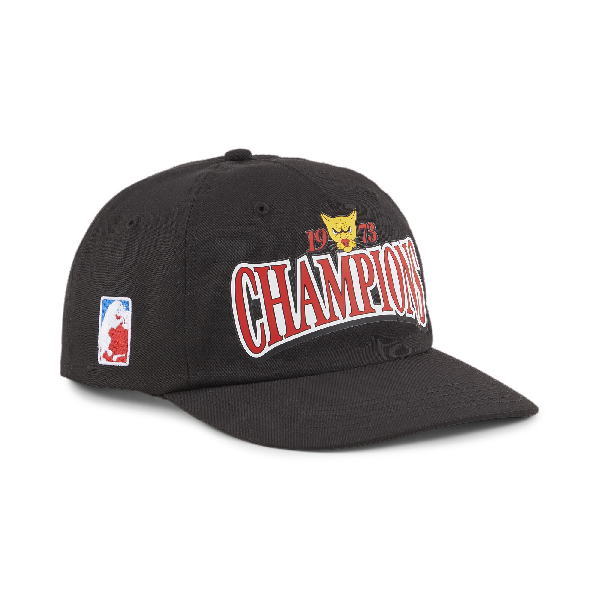 Flex Cap »Basketball LC Cap Erwachsene«