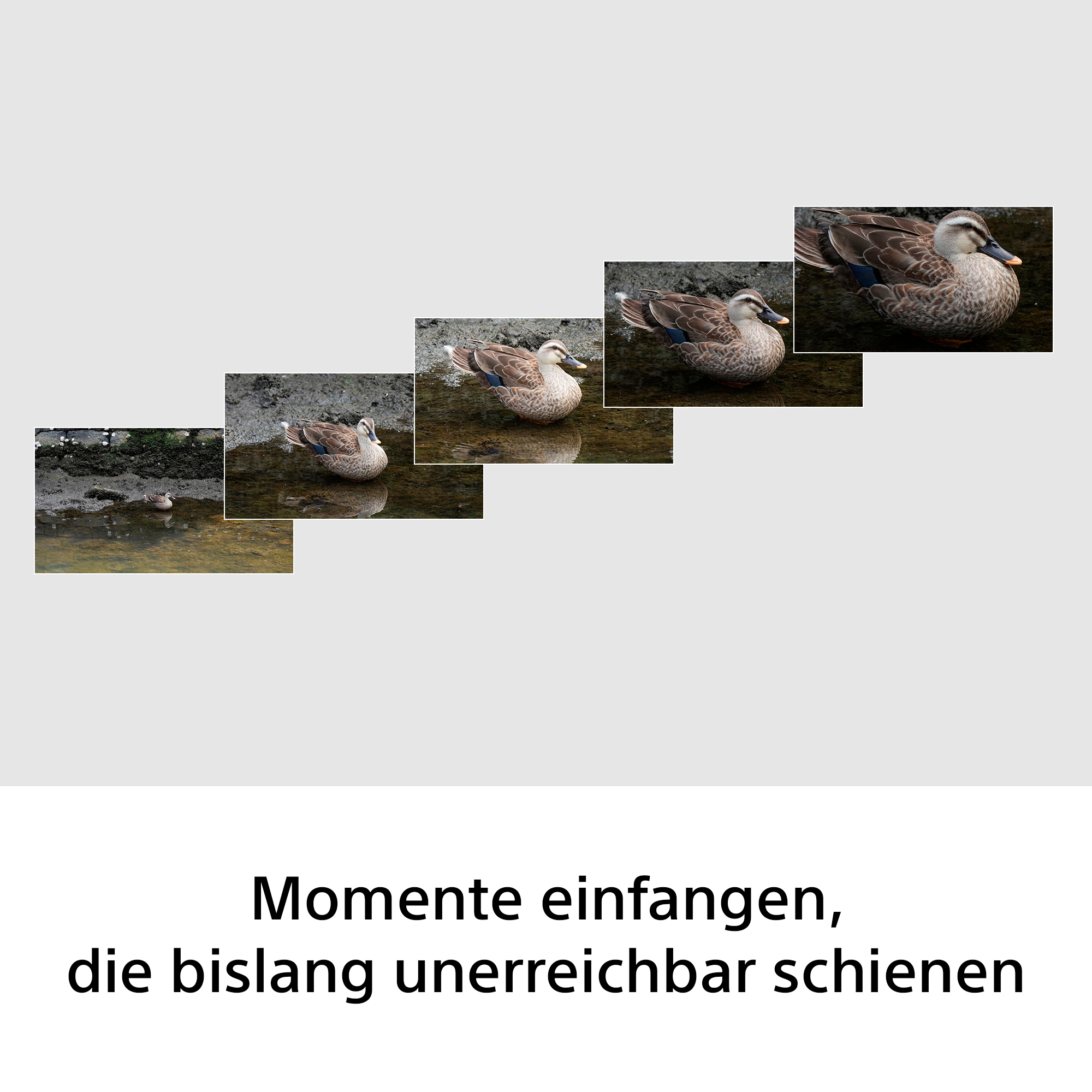 Sony »SEL100400« Sony SEL100400B, FE 100–400 mm F5.6-8 OSS Vollformat-Objektiv