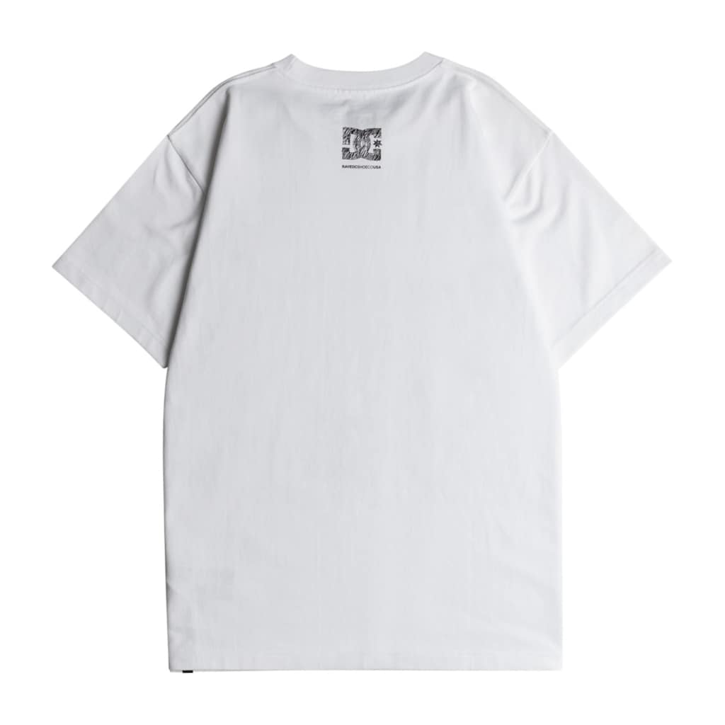 DC Shoes T-Shirt »DCrave«