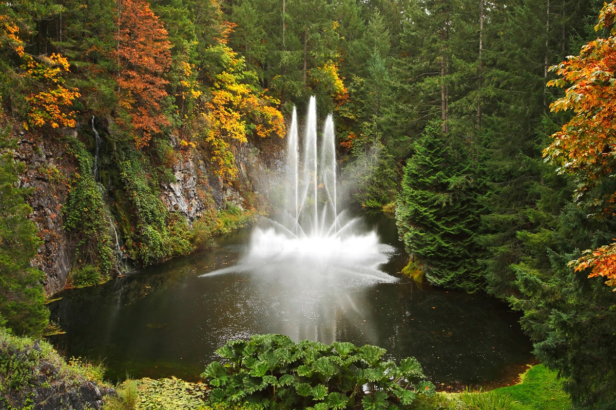 Papermoon "Wasserfall im Wald"