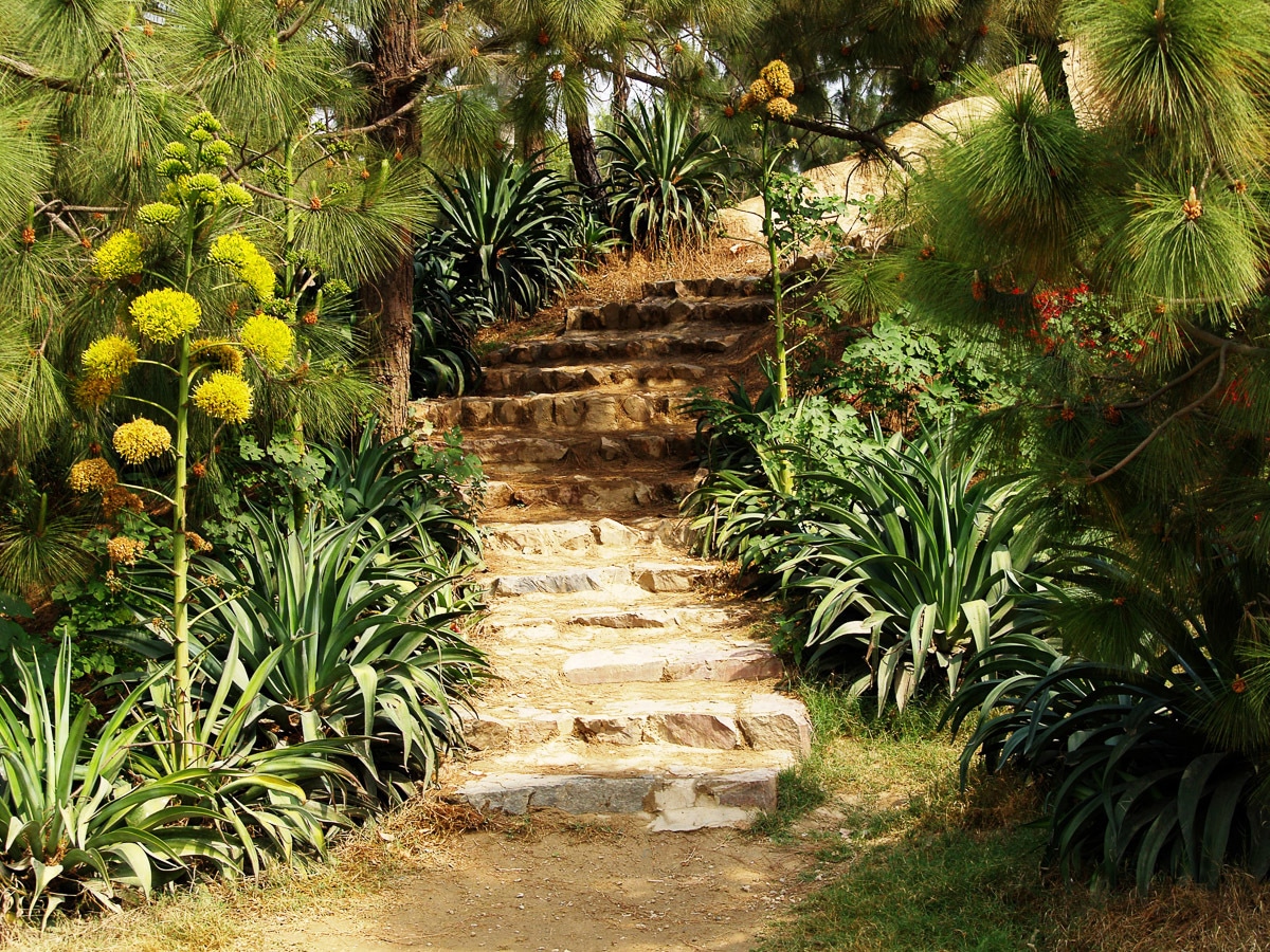 Papermoon Fototapete "Hill Garden"