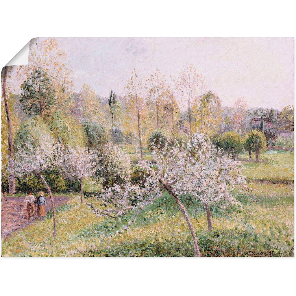 Artland Wandbild »Blühende Apfelbäume in Eragny. 1895«, Wiesen & Bäume, (1 St.), als Leinwandbild, Poster in verschied. Größen