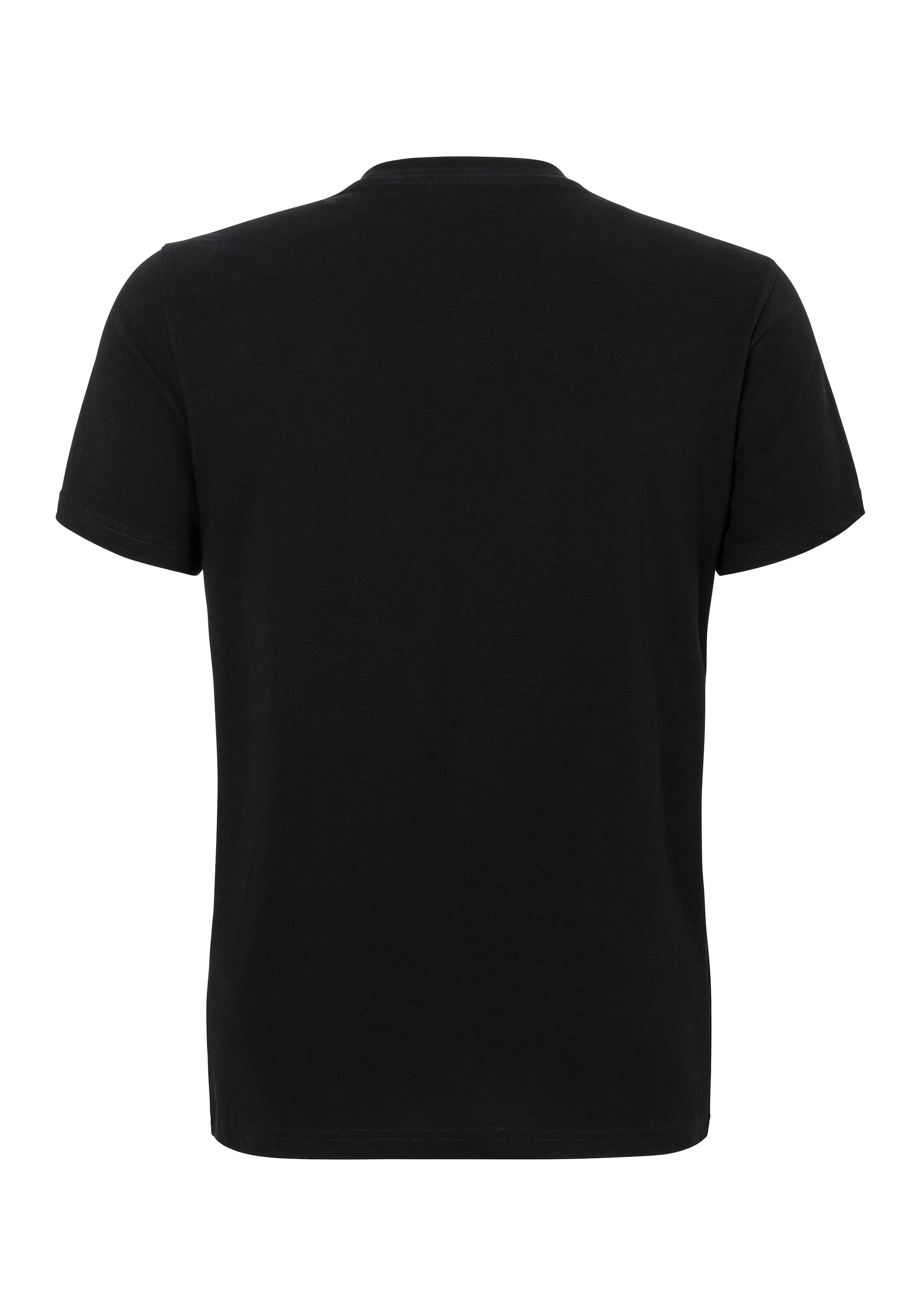 MUSTANG T-Shirt »Style Alex C Print«