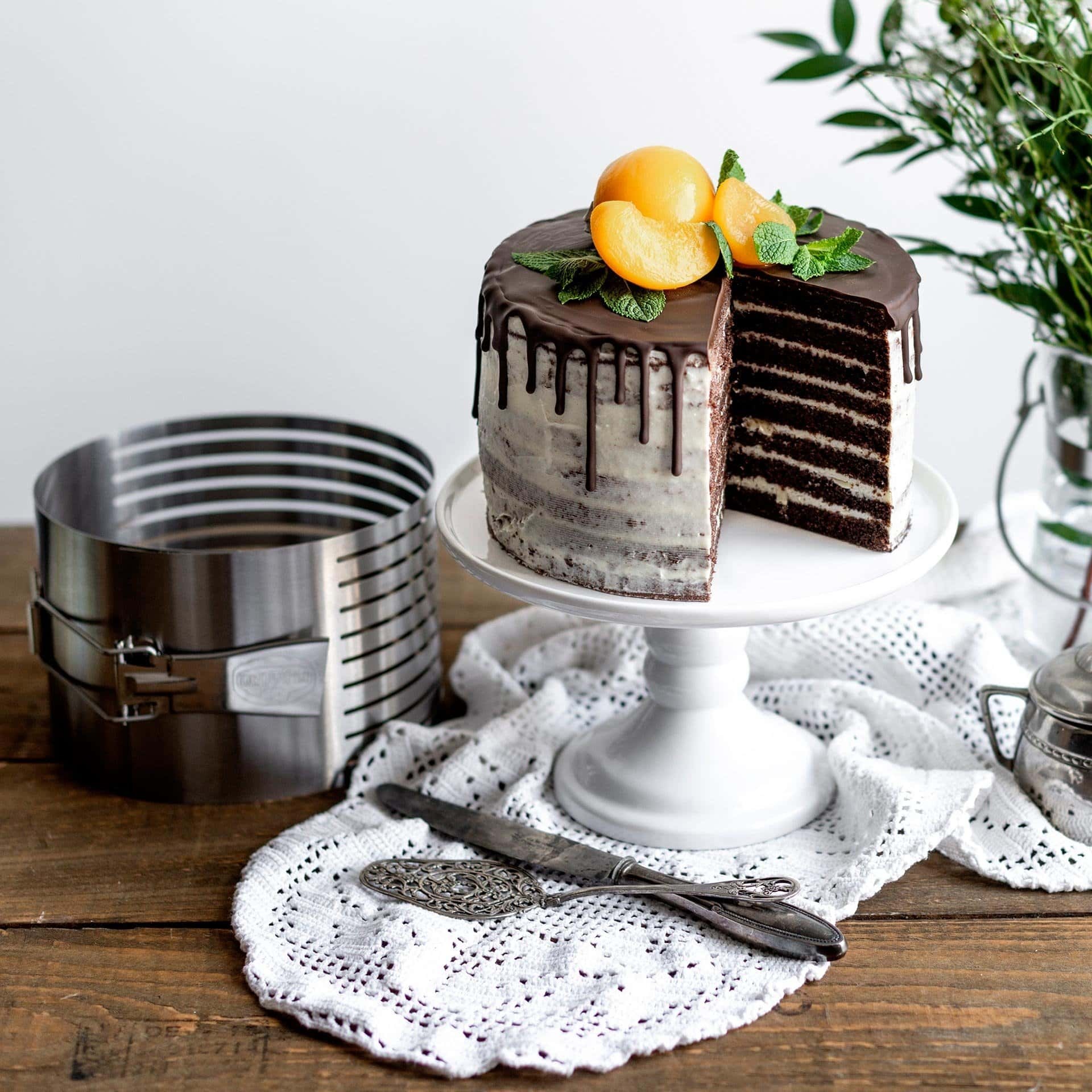 Dr. Oetker Tortenring »Tortenboden-Schneidhilfe Ø18-20x12 cm«